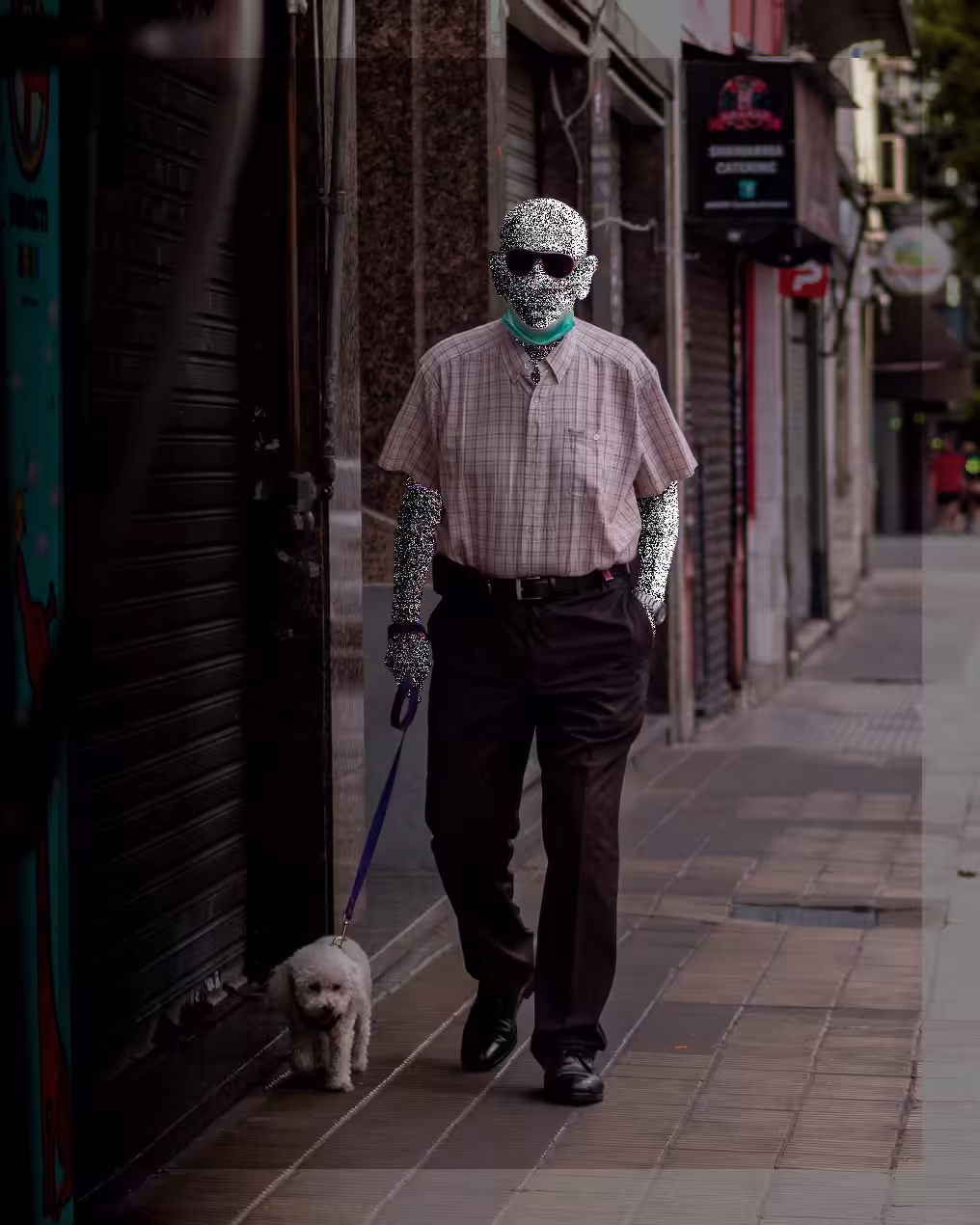 Walking with Christopher // Low Content No. 26
