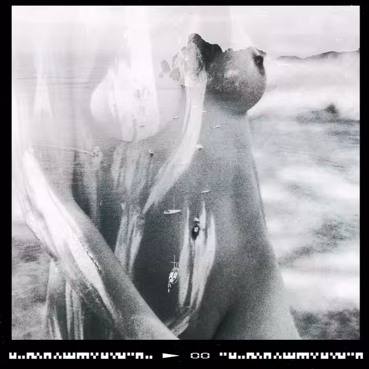 Nude Animation - Sound on Double exposure - 800 Follower drop