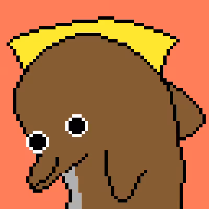 LSDolphins #10