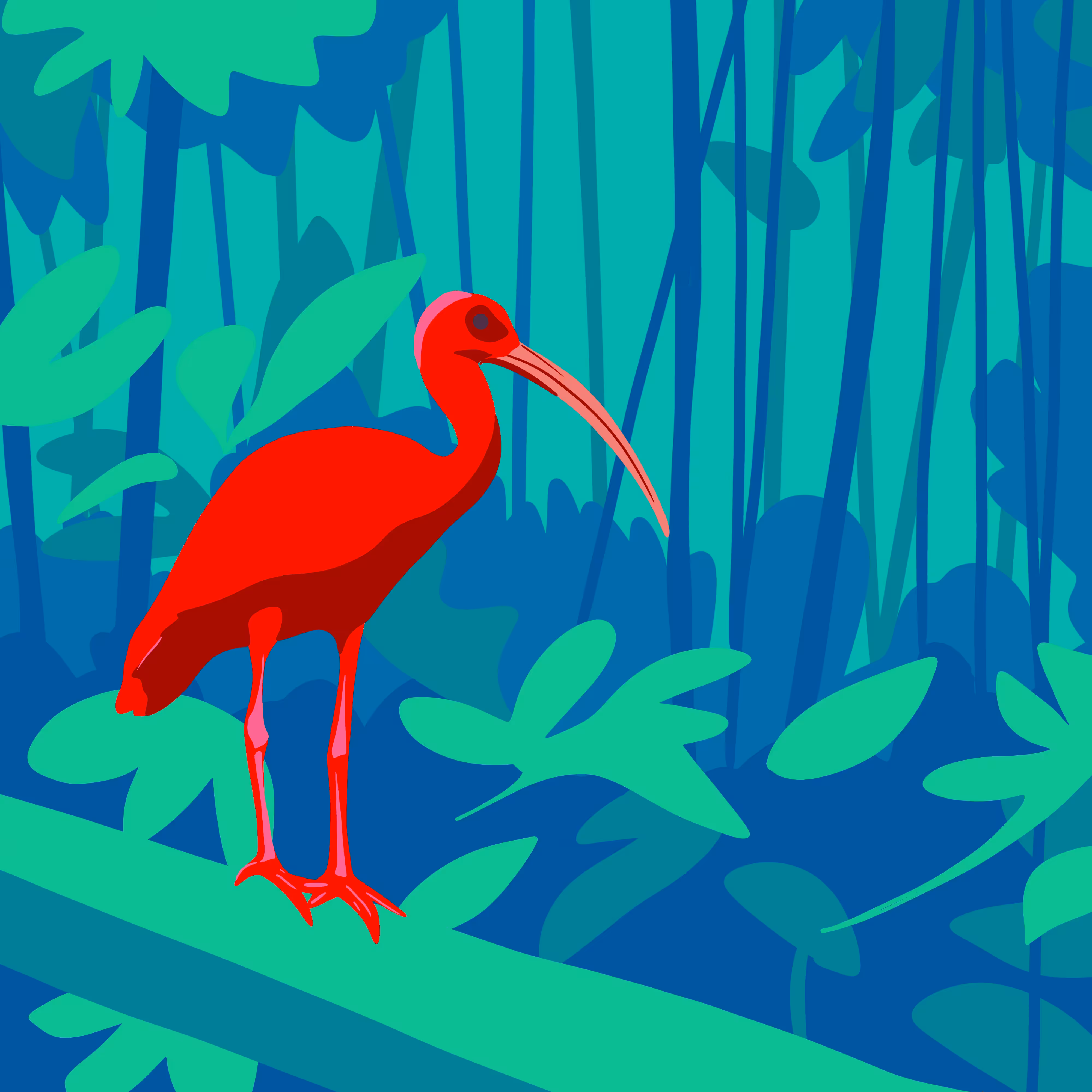 The Ibis