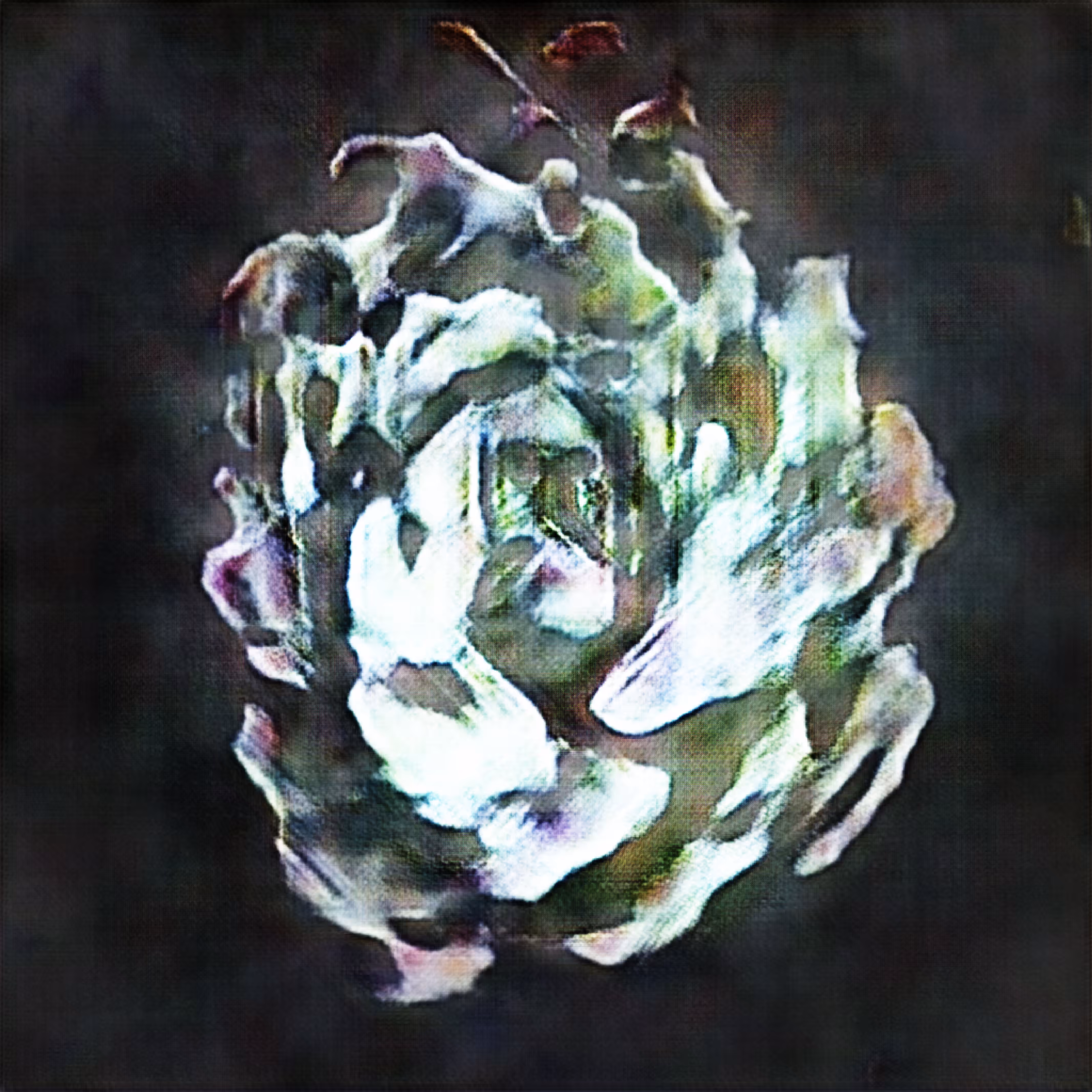 Sempervivum 64z #6/10