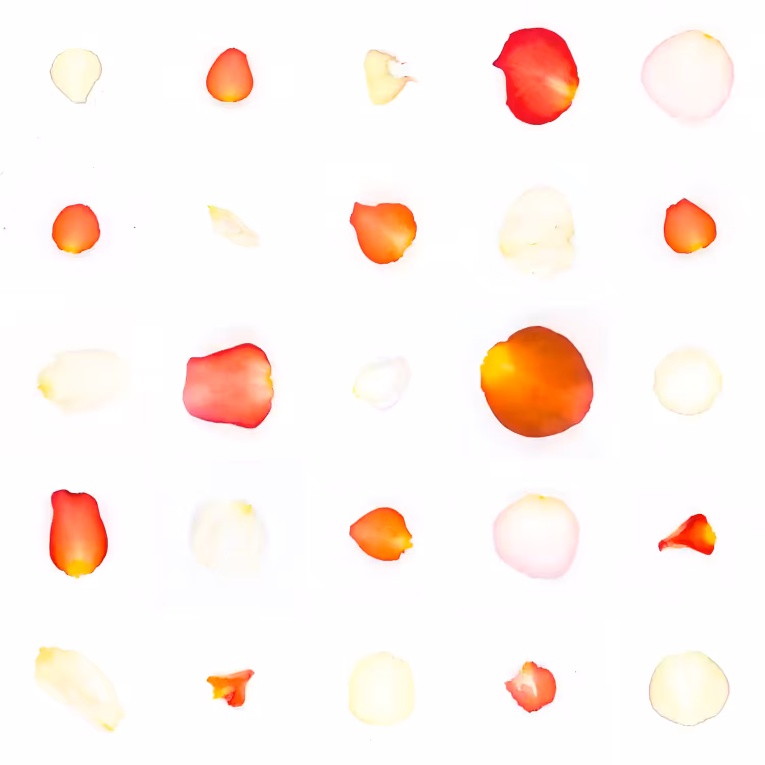 Infinite Petals 5x5#20175
