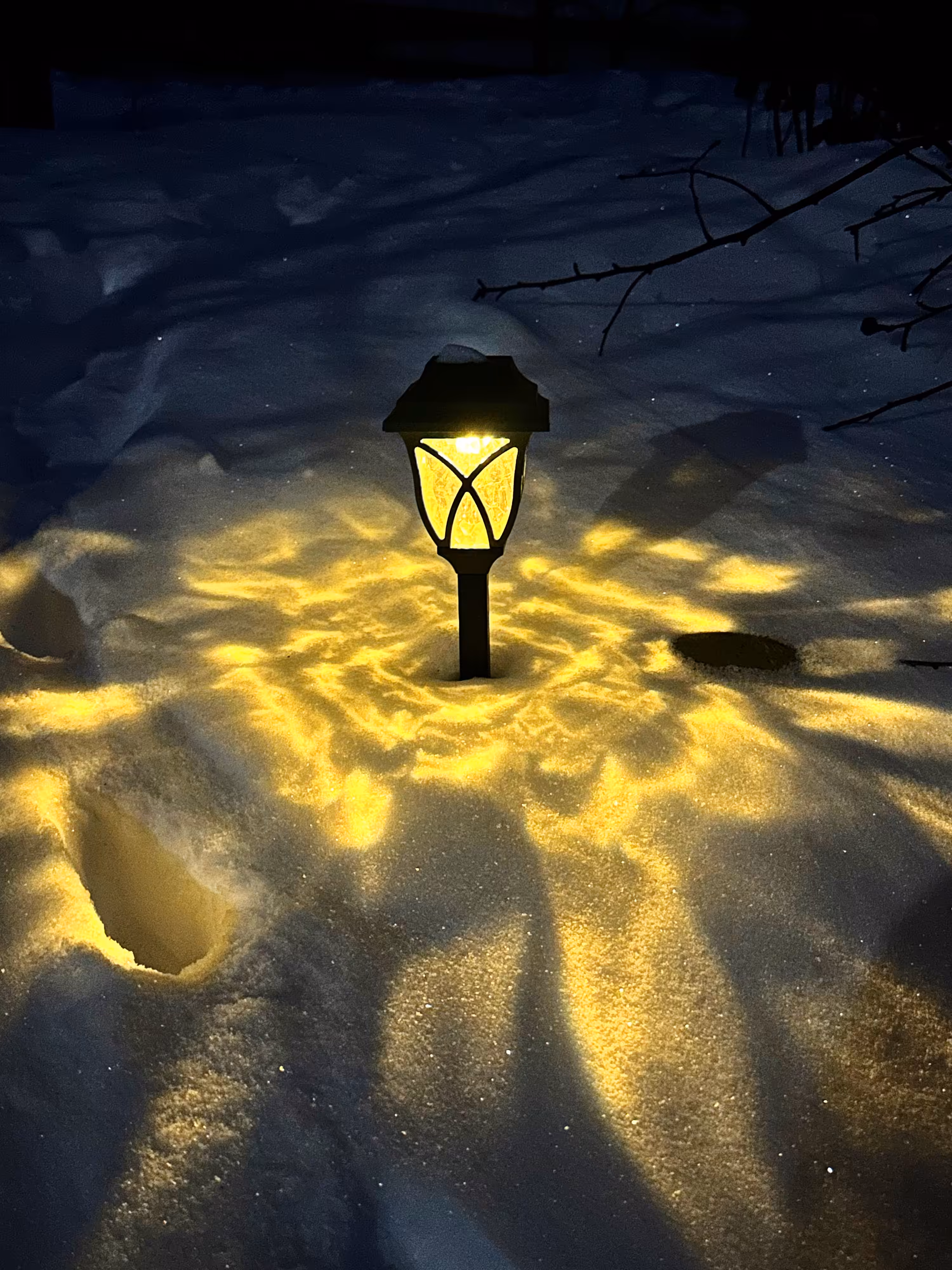 Night guardian