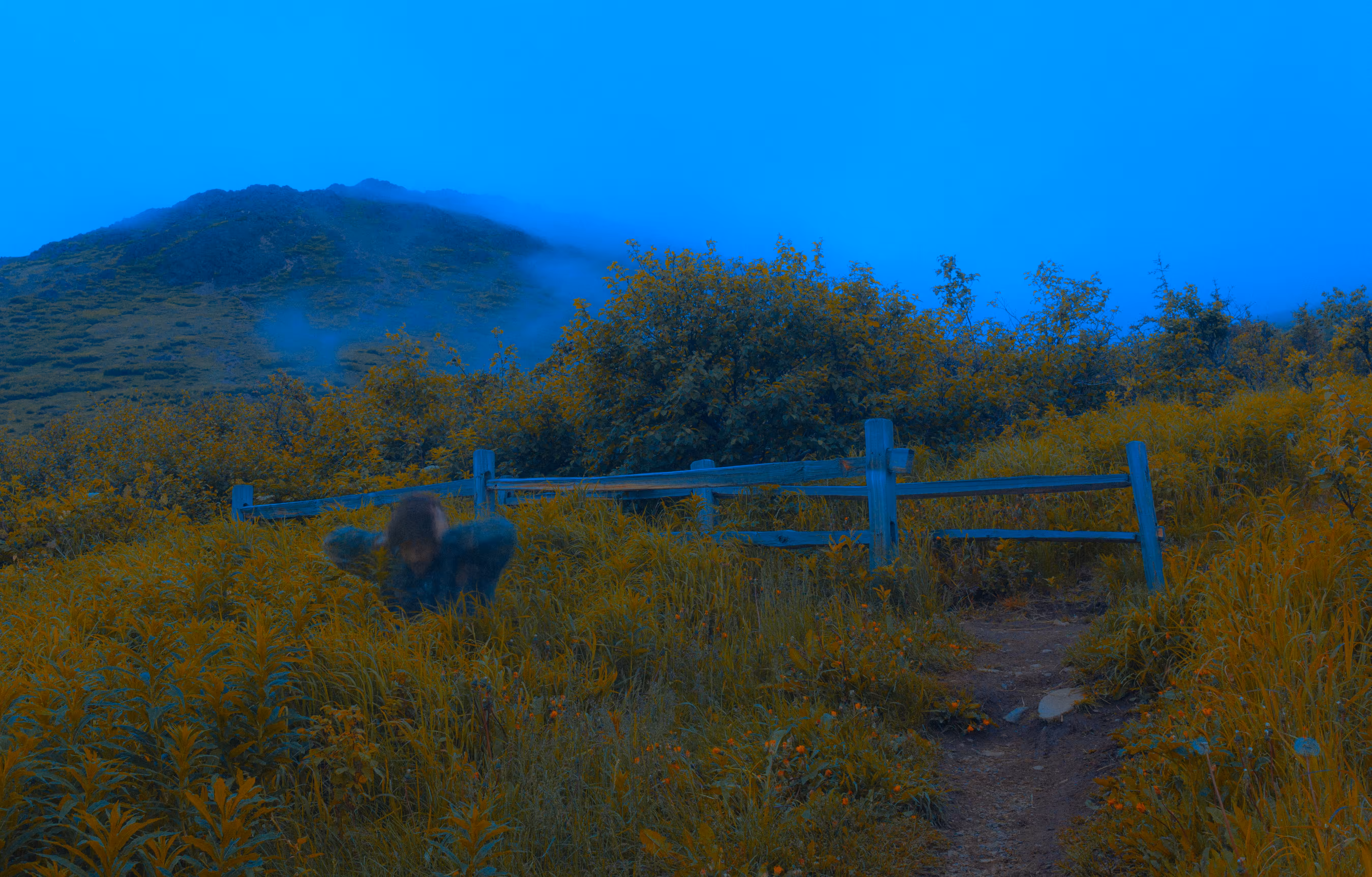 Sometimes I Feel Invisible