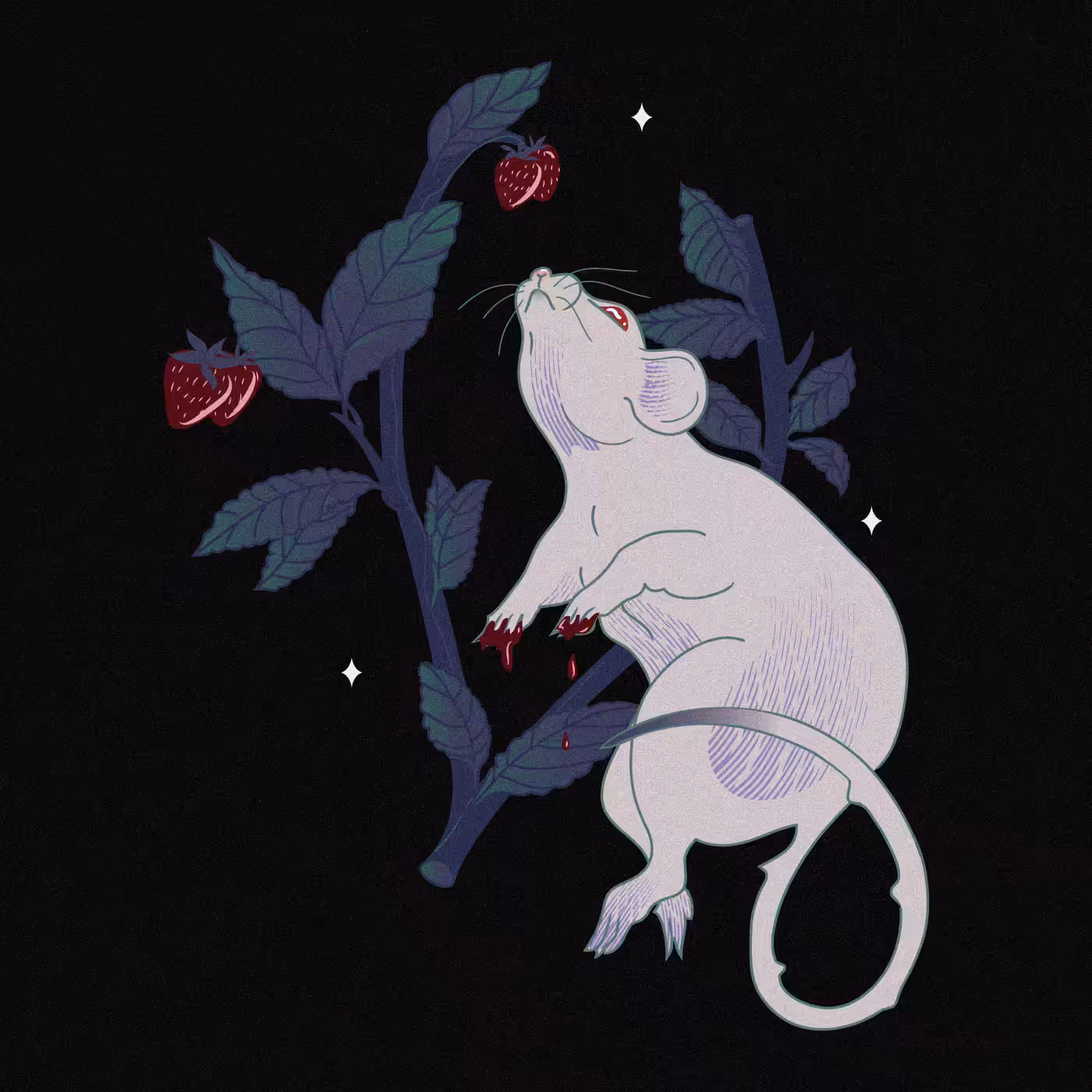 Rat