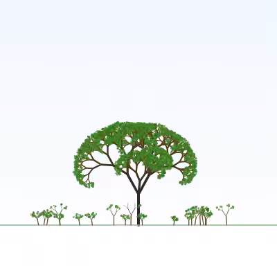 Arbre Fractal #0 #2