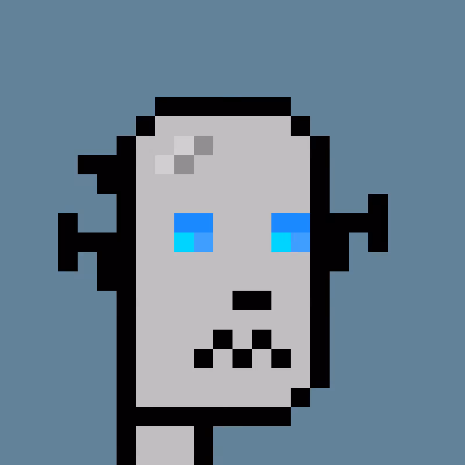 RoboPunks 2048 #1893