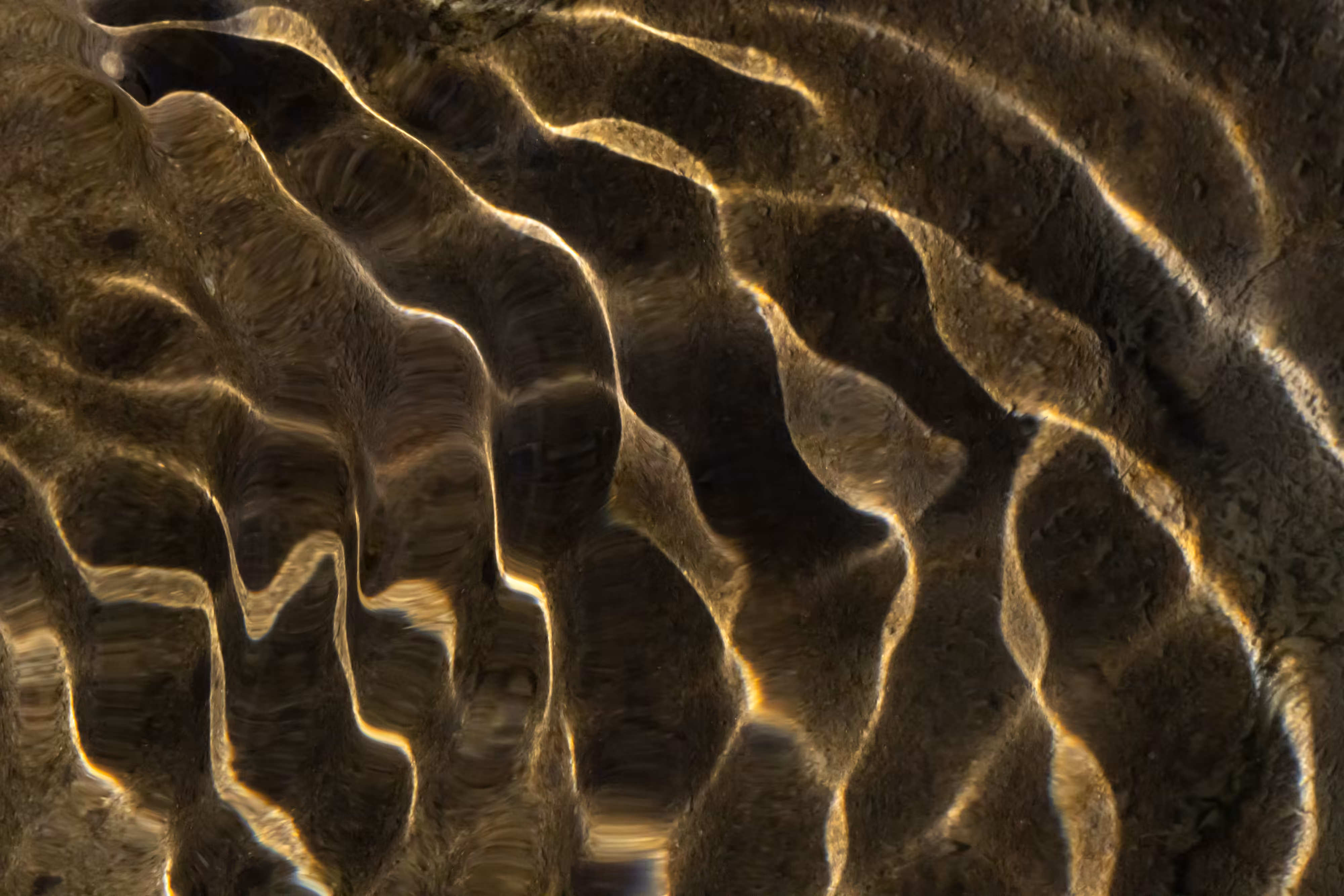 Ebb and Flow #23a