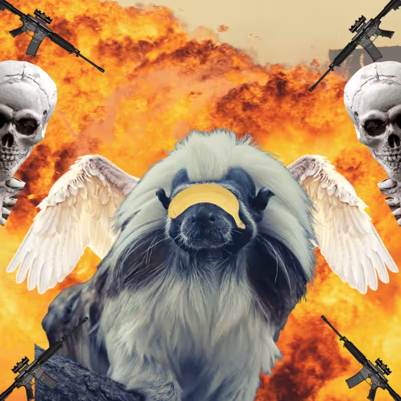 Blinded apes #18