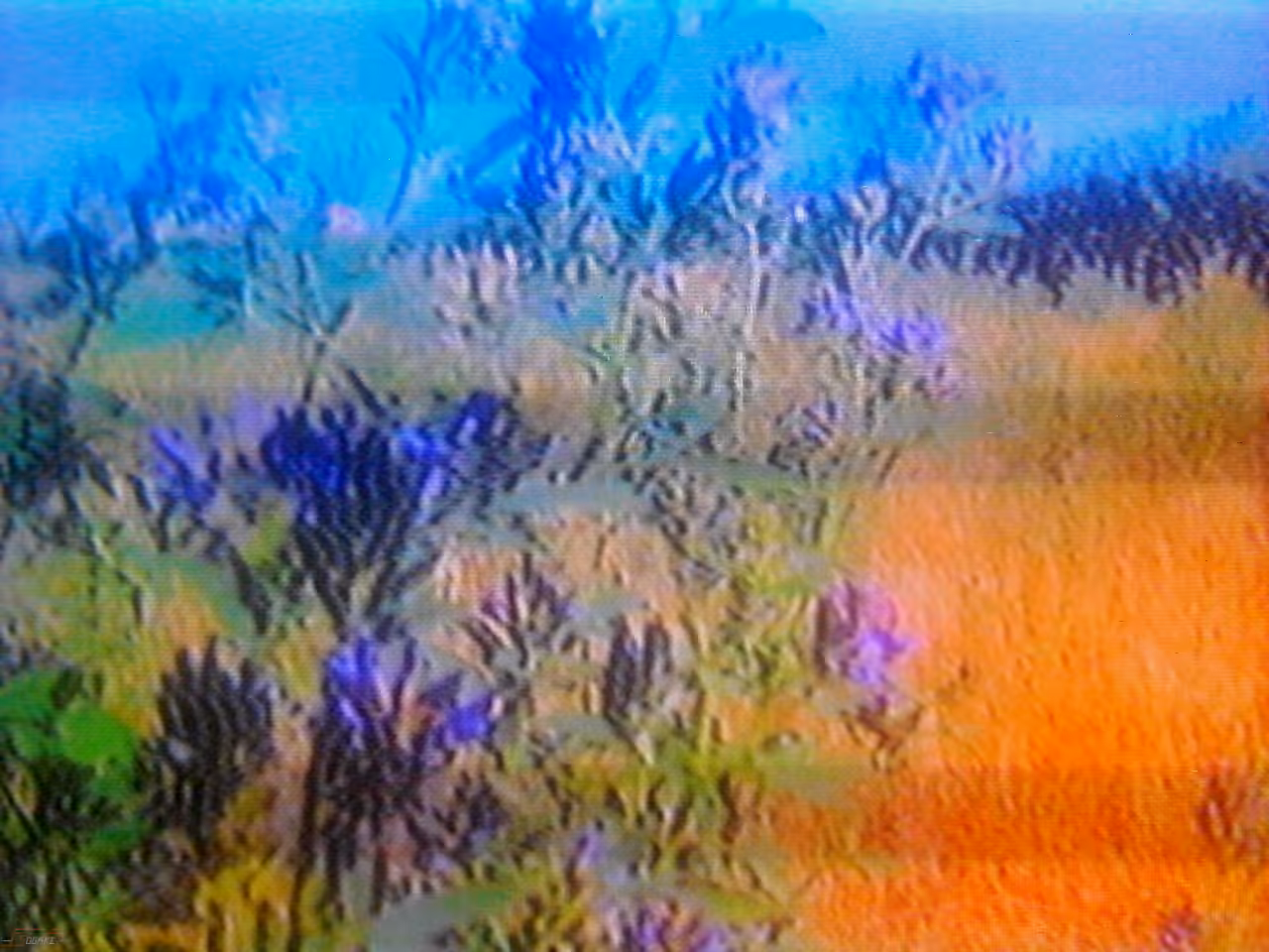 toy_cam-pic_0026