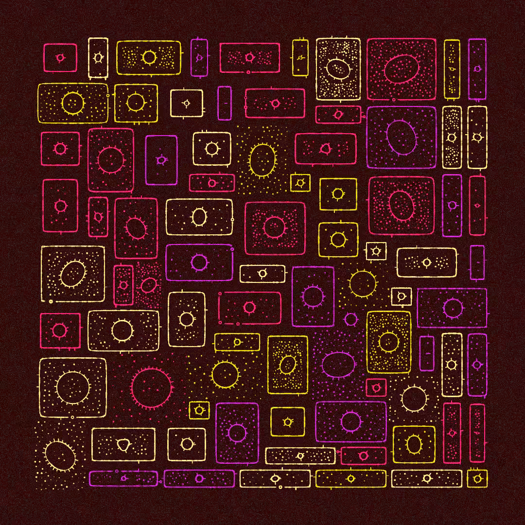Microcosm #10