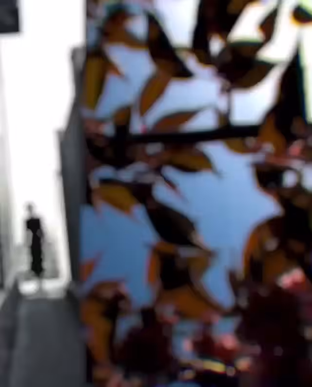 FΛᄂᄂ🍂