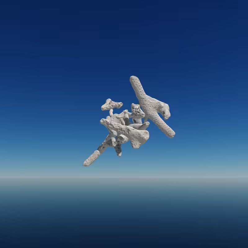 Bone Work (Gulf of Mexico) 2022 #62