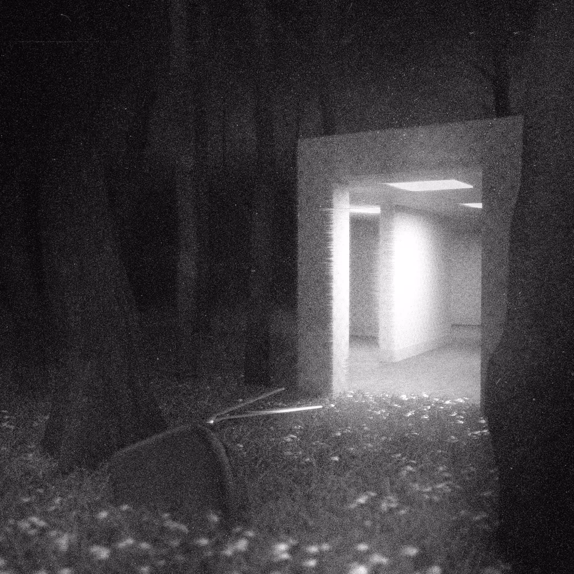Voyeur #9