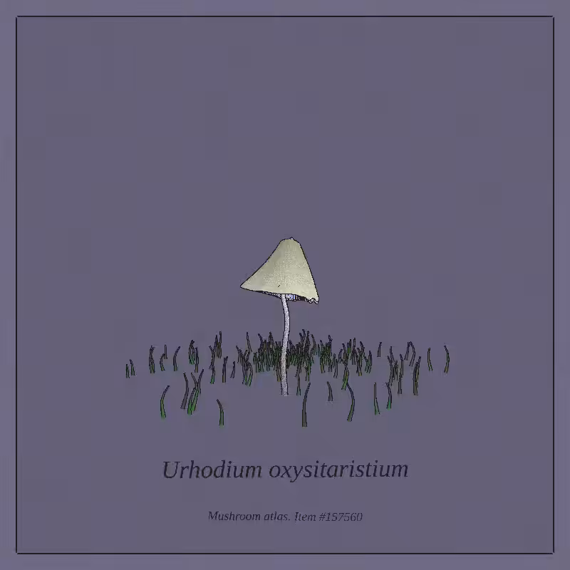 Mushroom Atlas #27