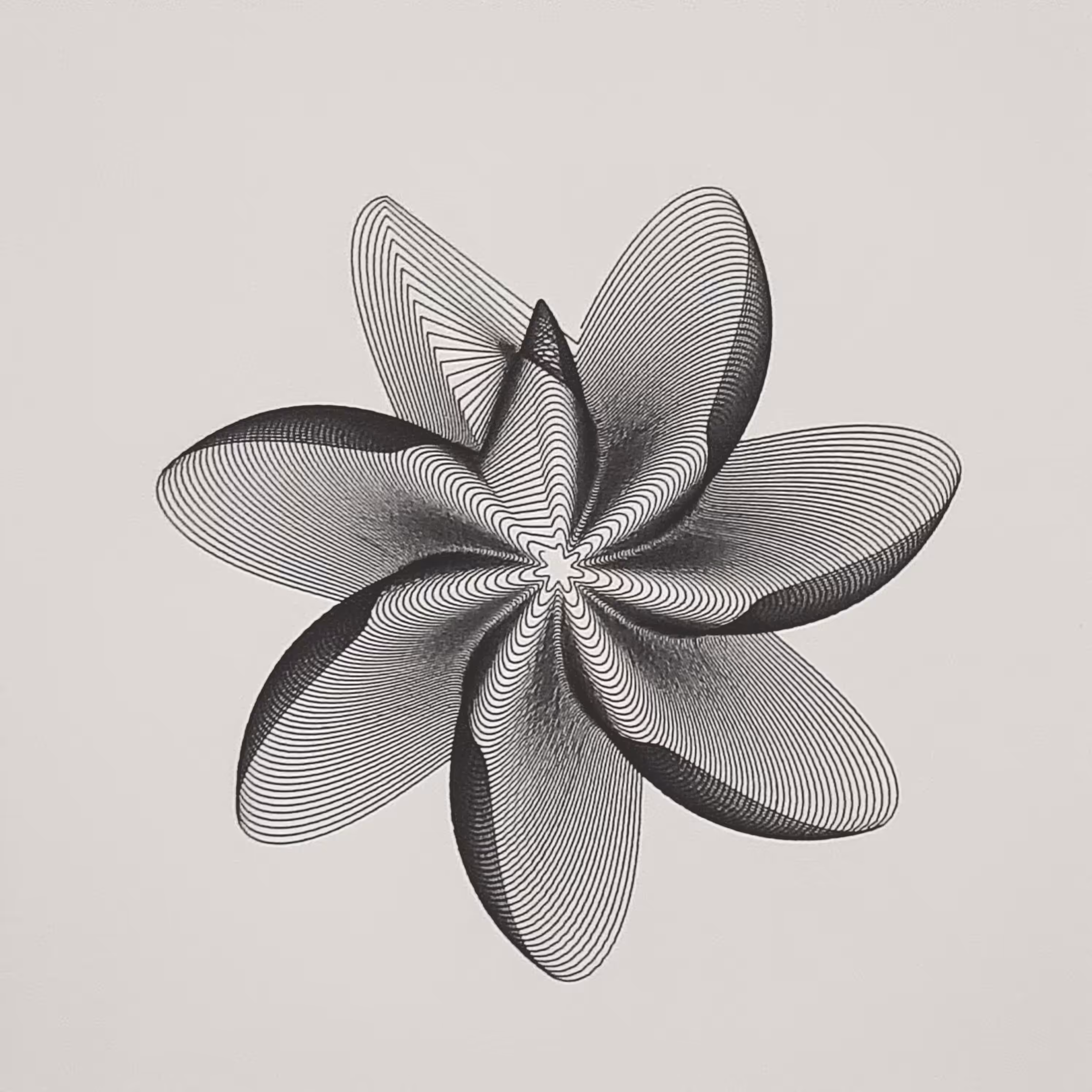 orchideæ #1
