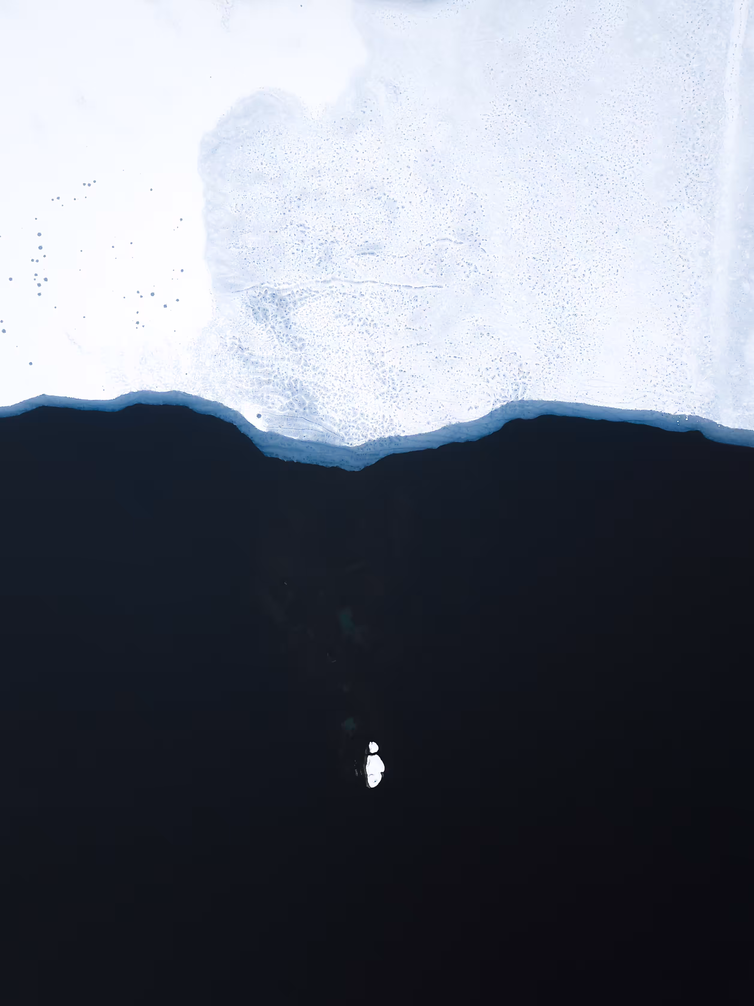 ARCTIC SPLIT