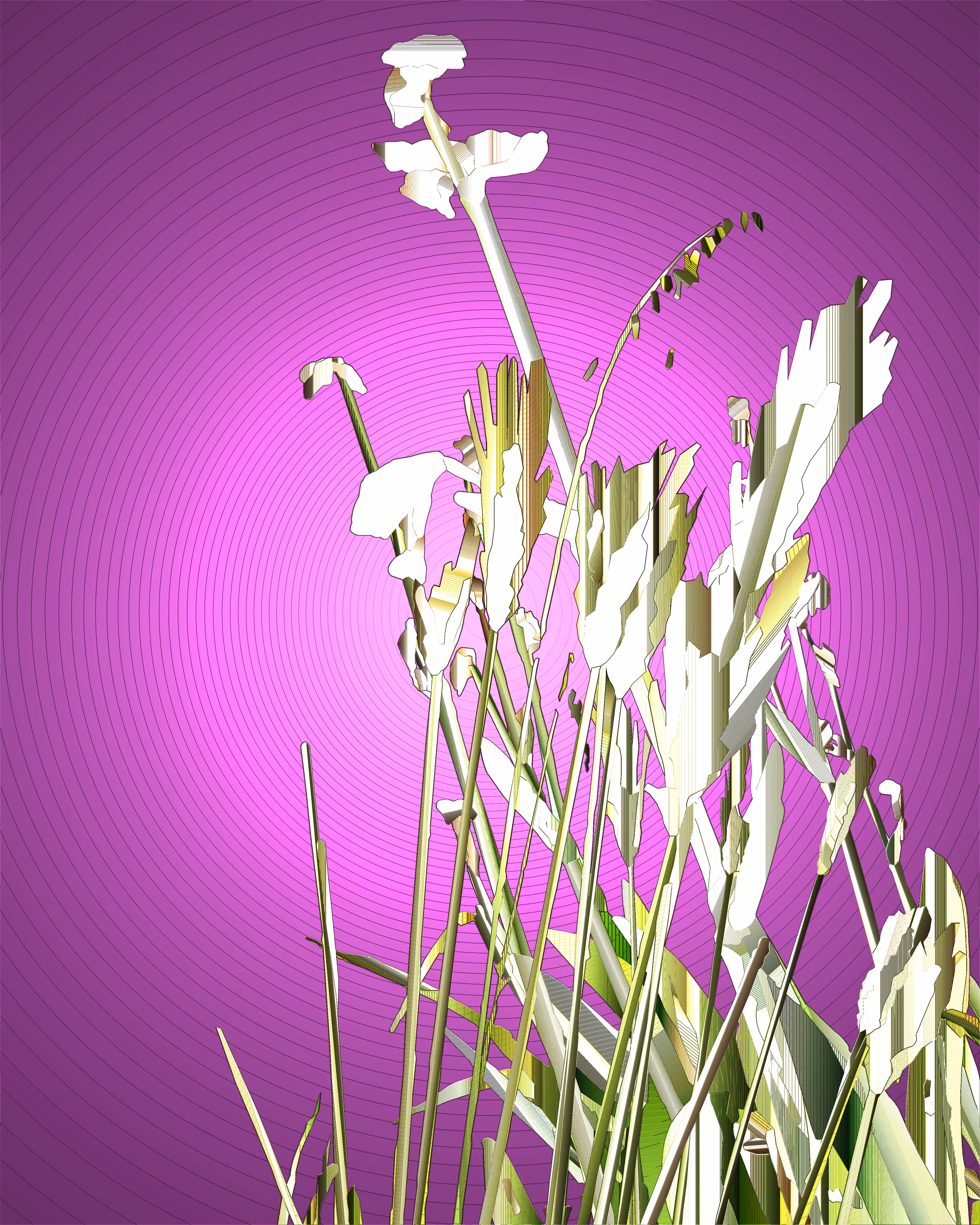 Circular purple circumstances