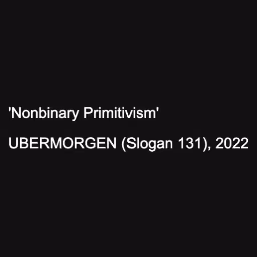 'Nonbinary Primitivi...