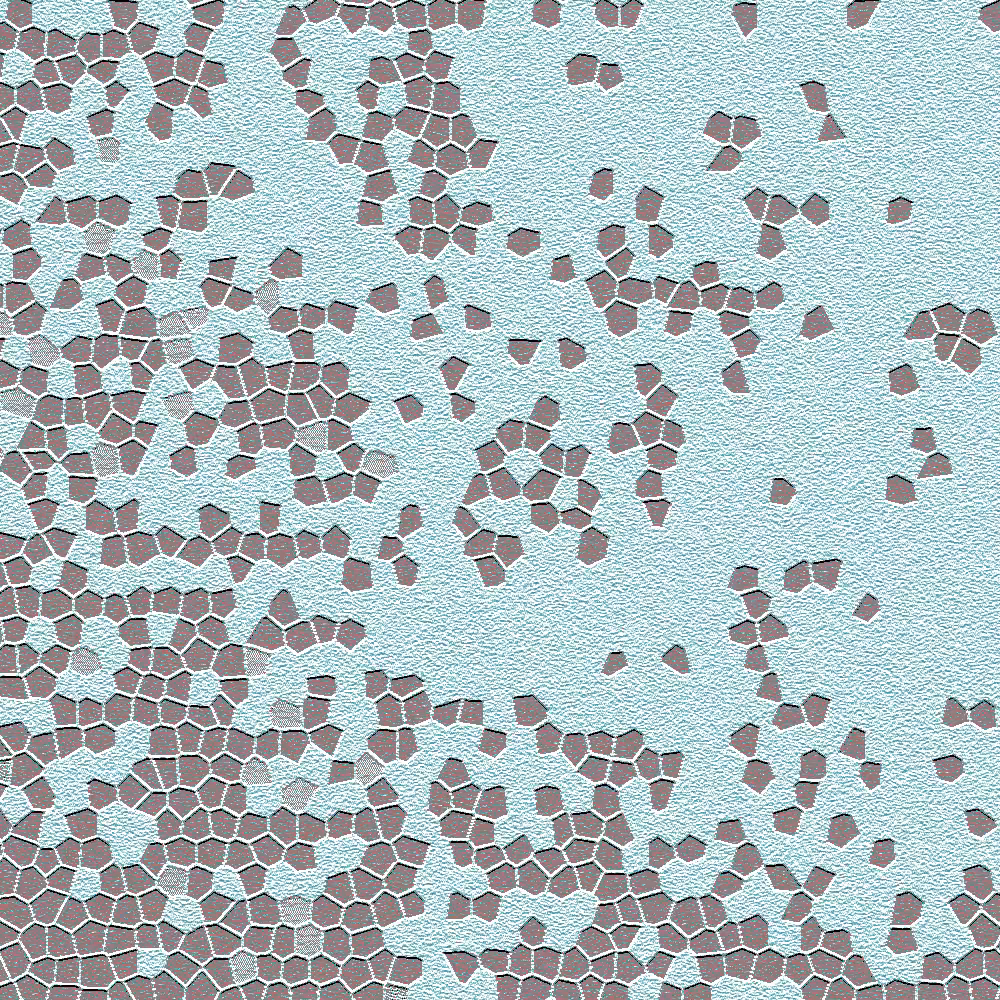 piece of 'O rchid. mo(u)lting' 0012
