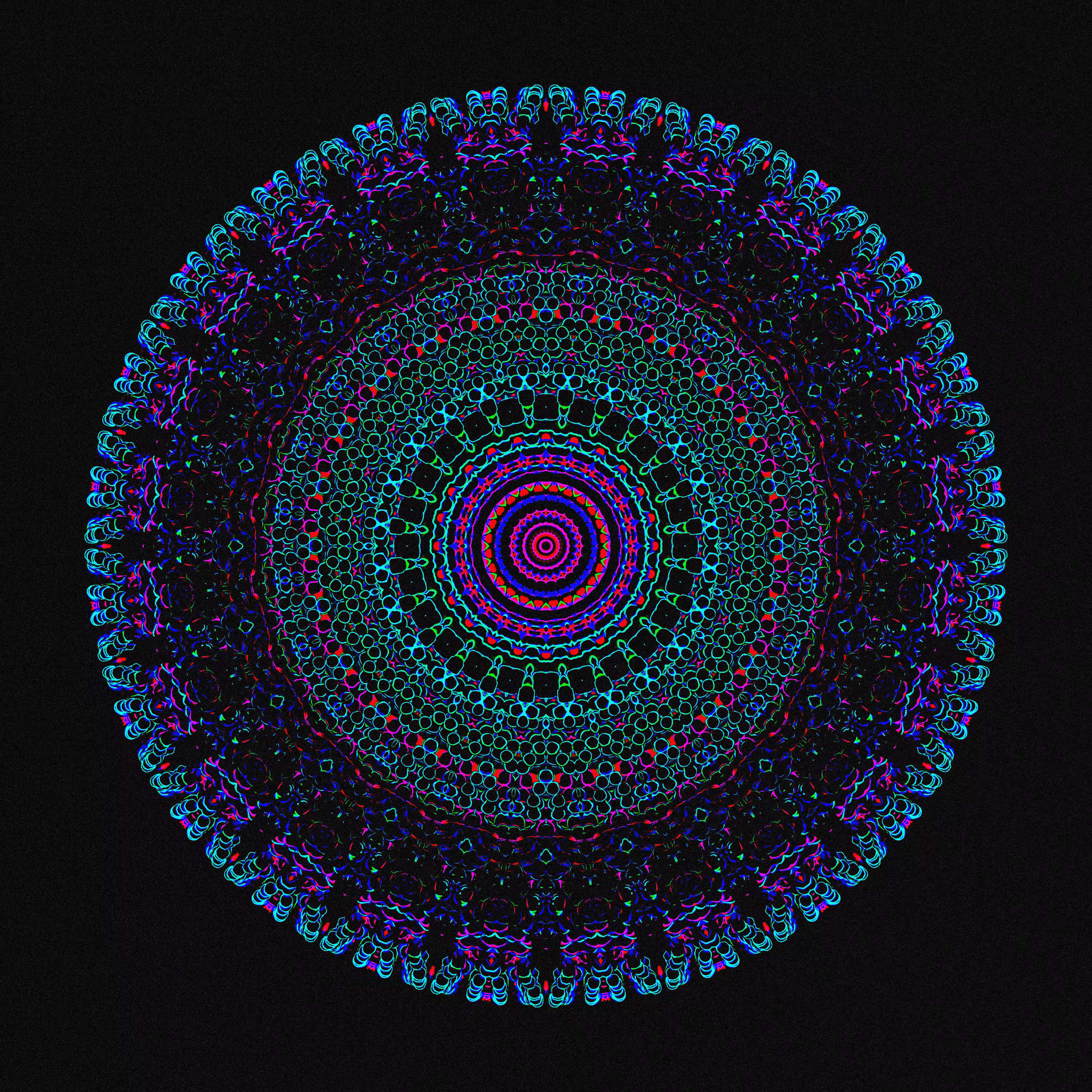 鸚鵡螺01
