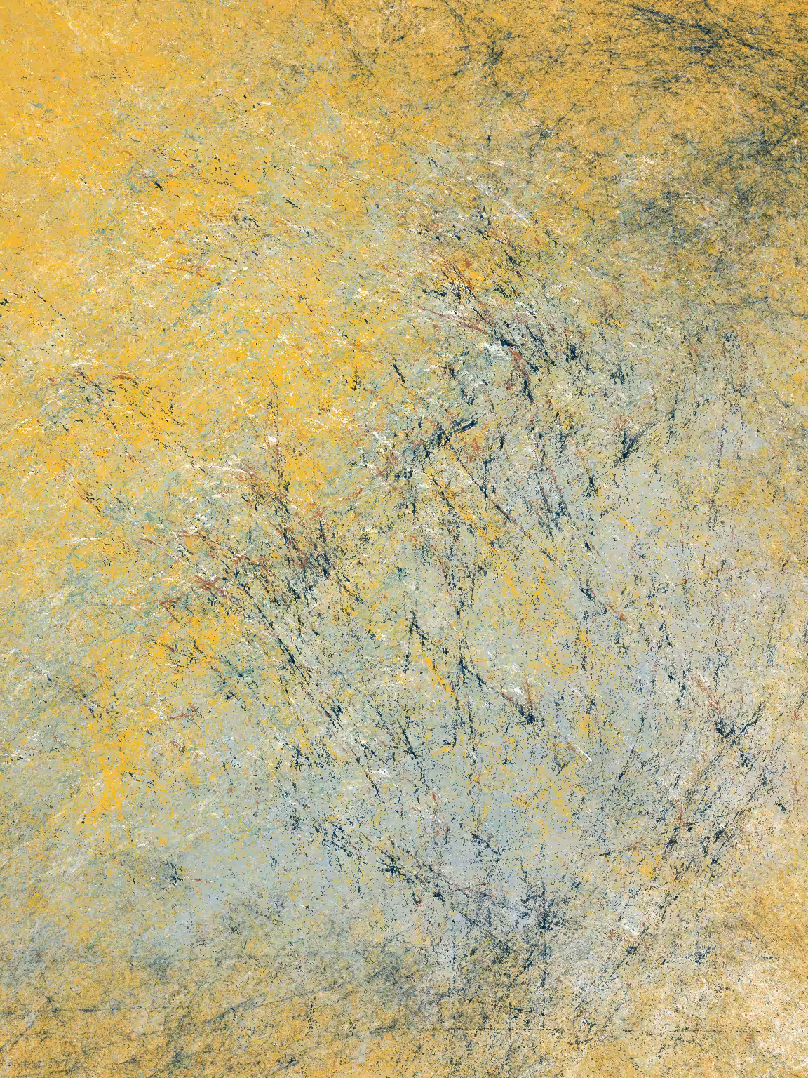Remains #27