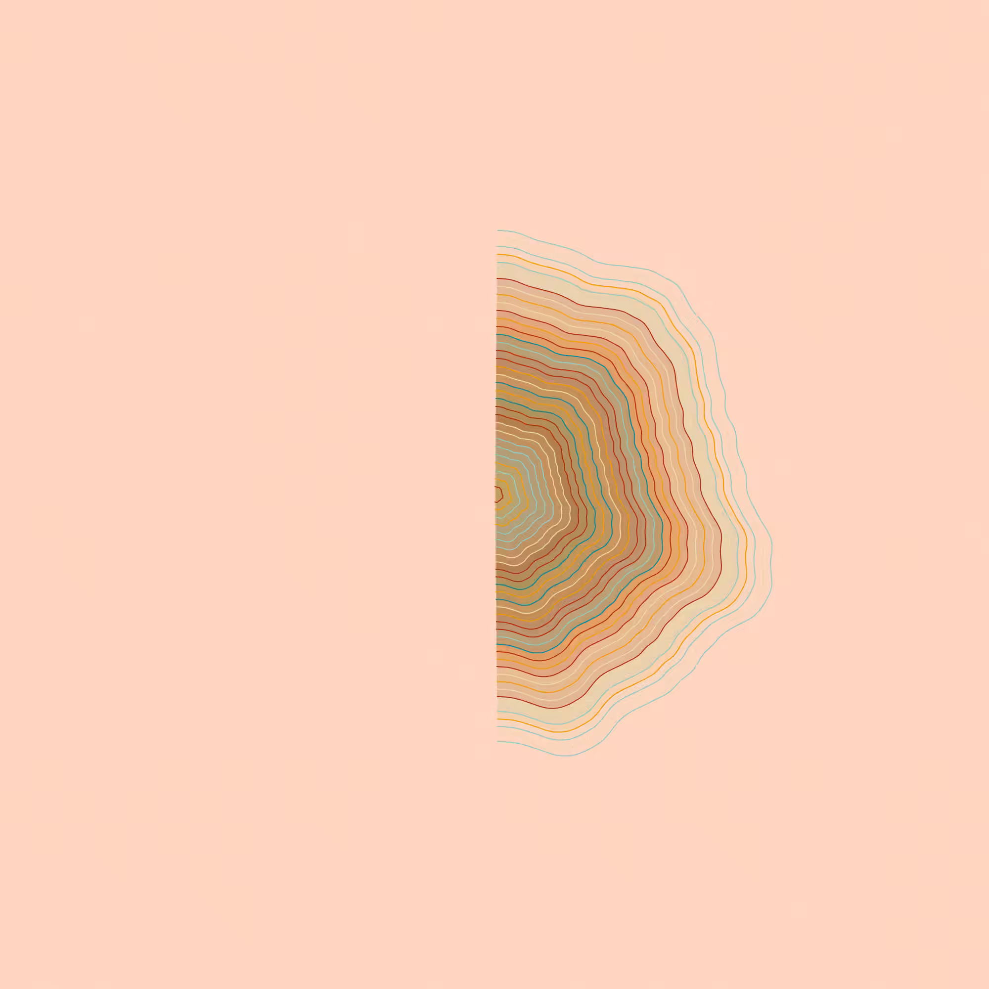 Hashed Onions #45