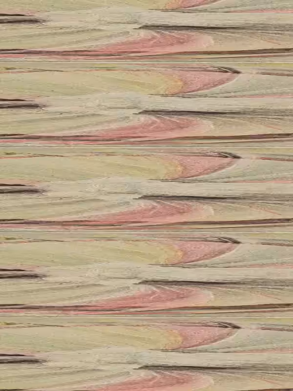 Sand