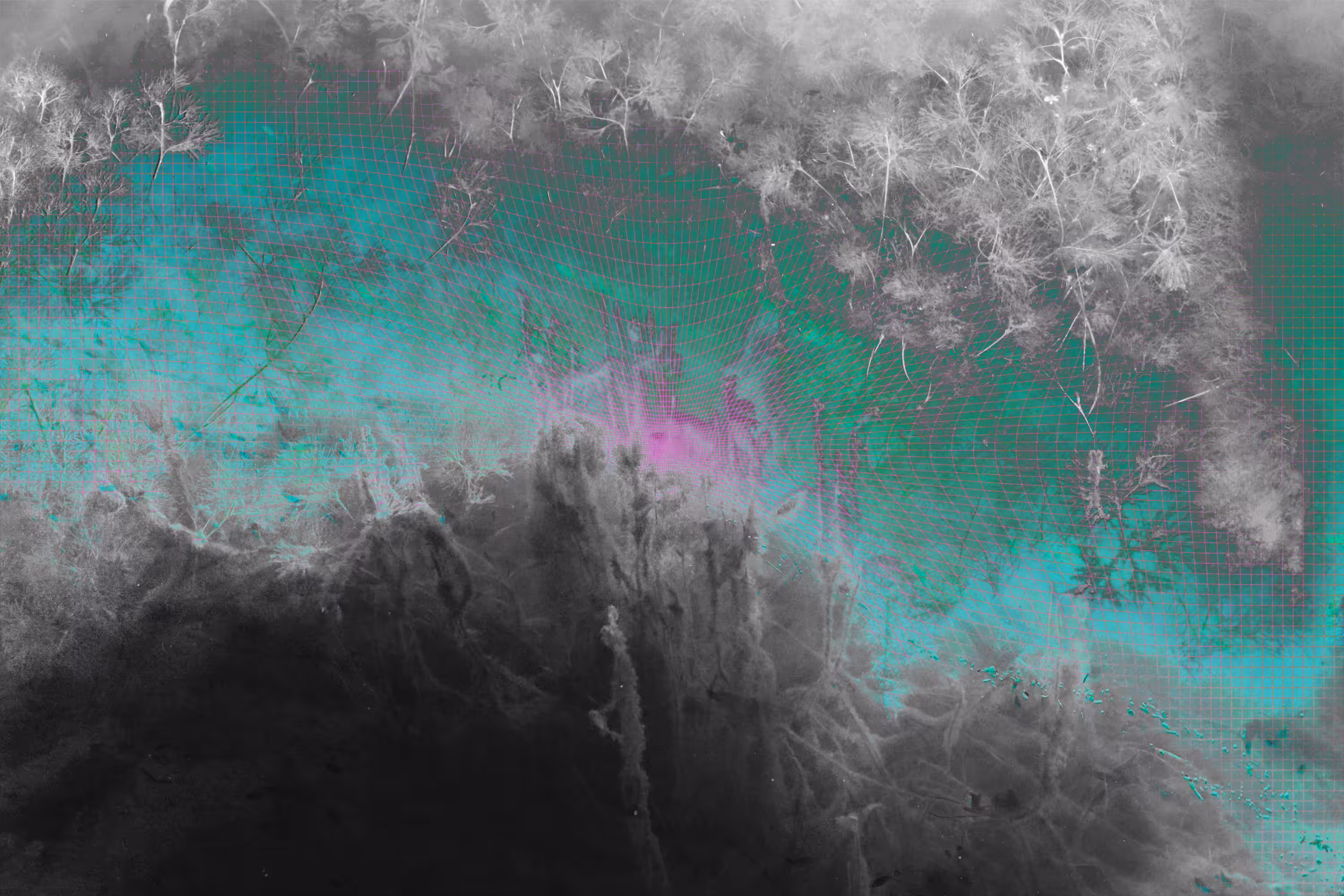 Flux (13)
