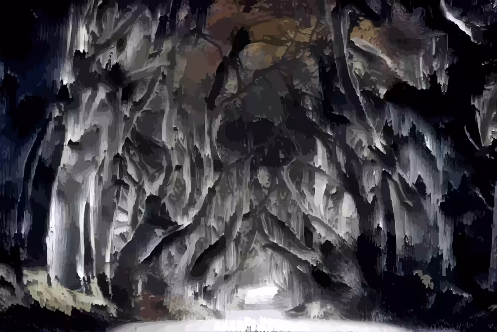 Silent Woodland Gloom