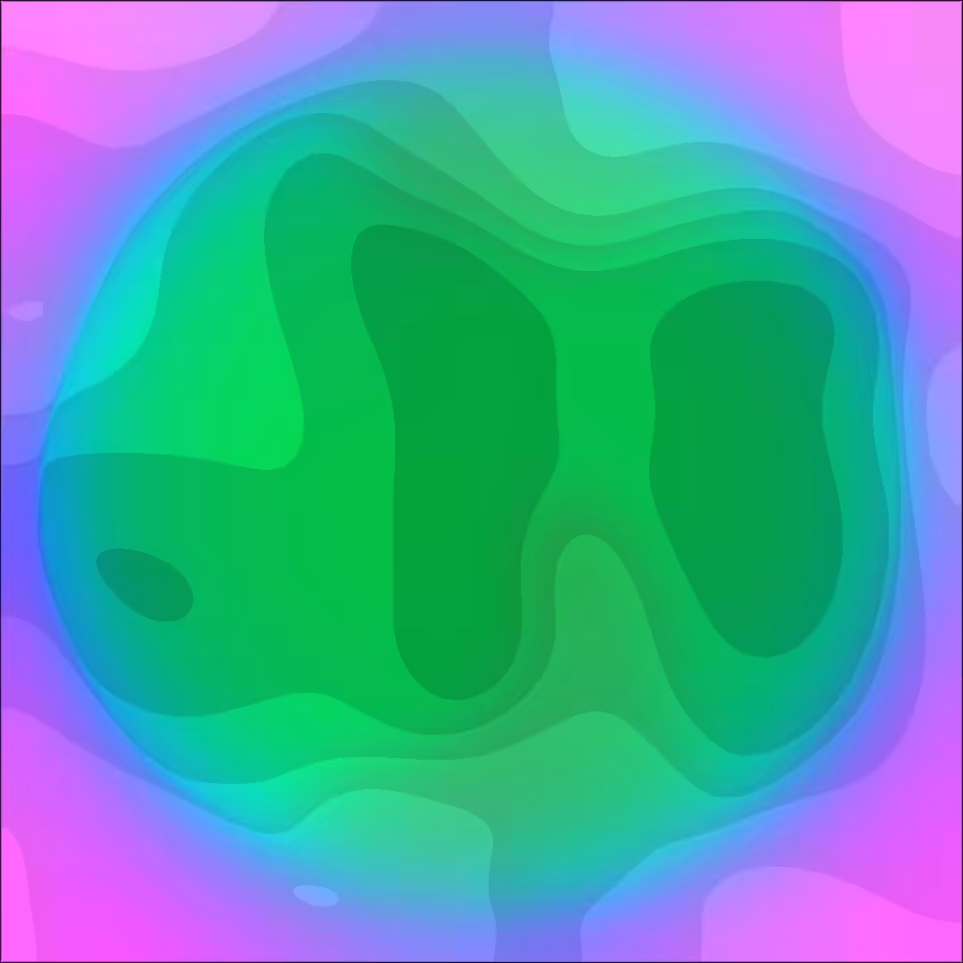 Screen Topography 04