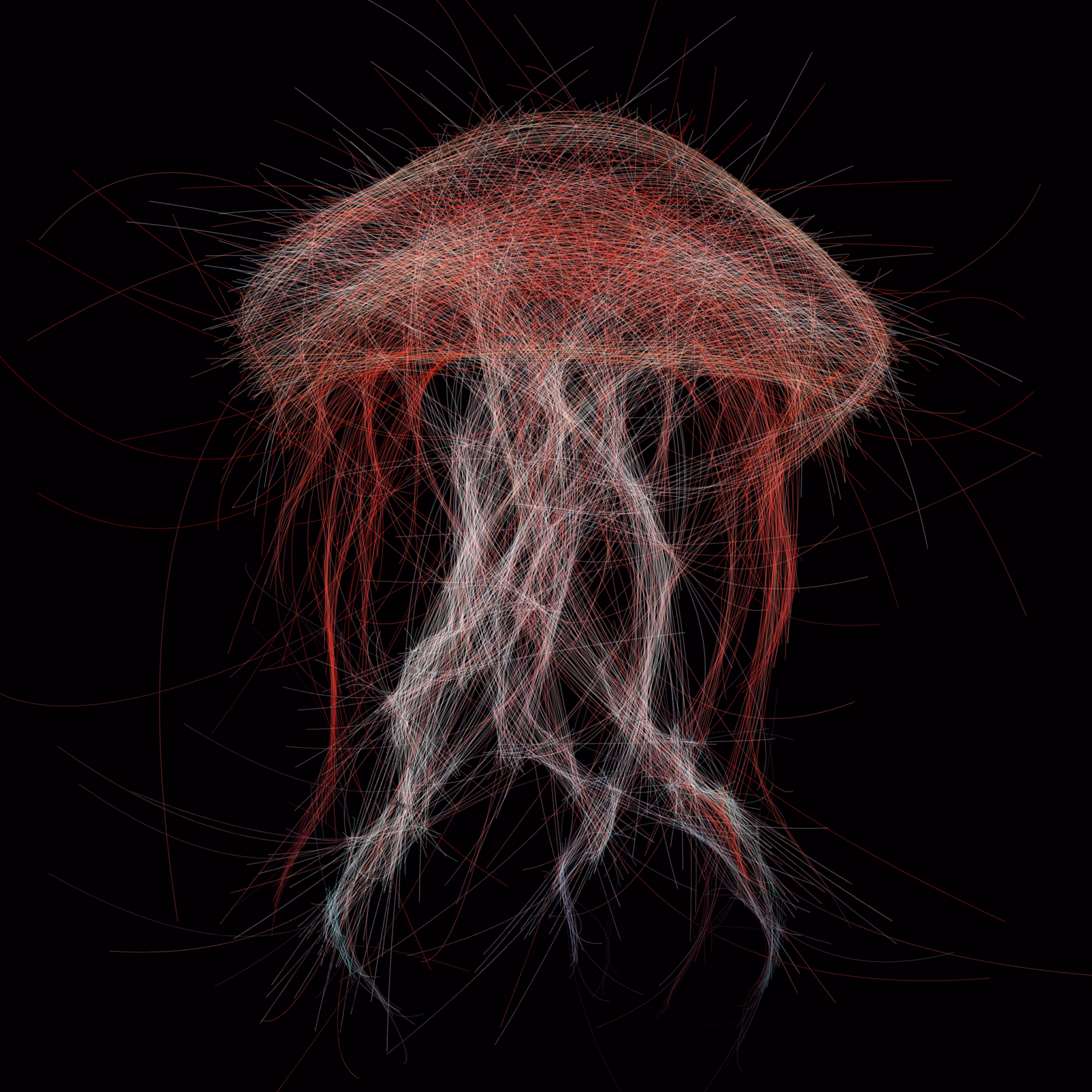 Underwater 306