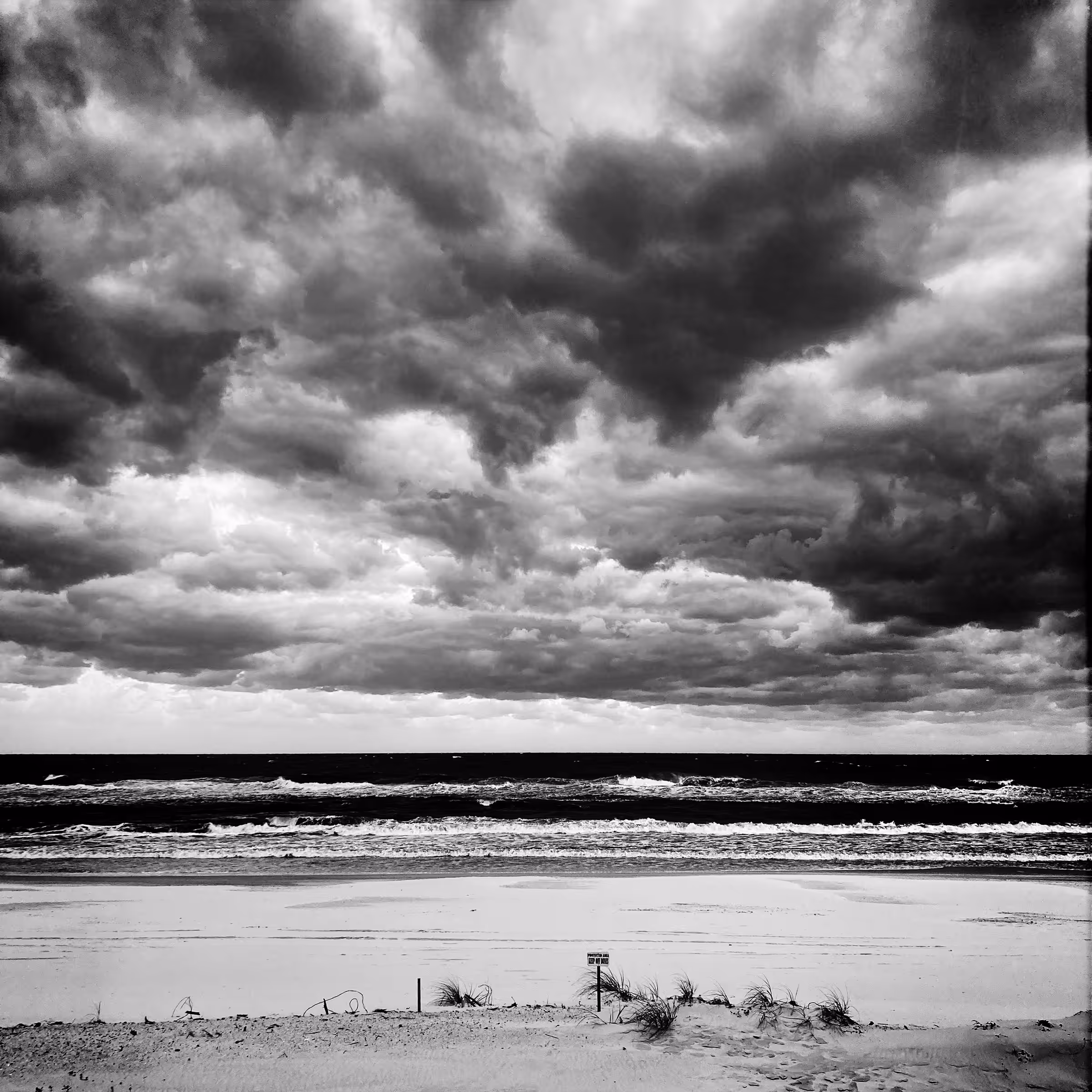 Gulf Shores #3 (Gulf Shores, Alabama, 2021)