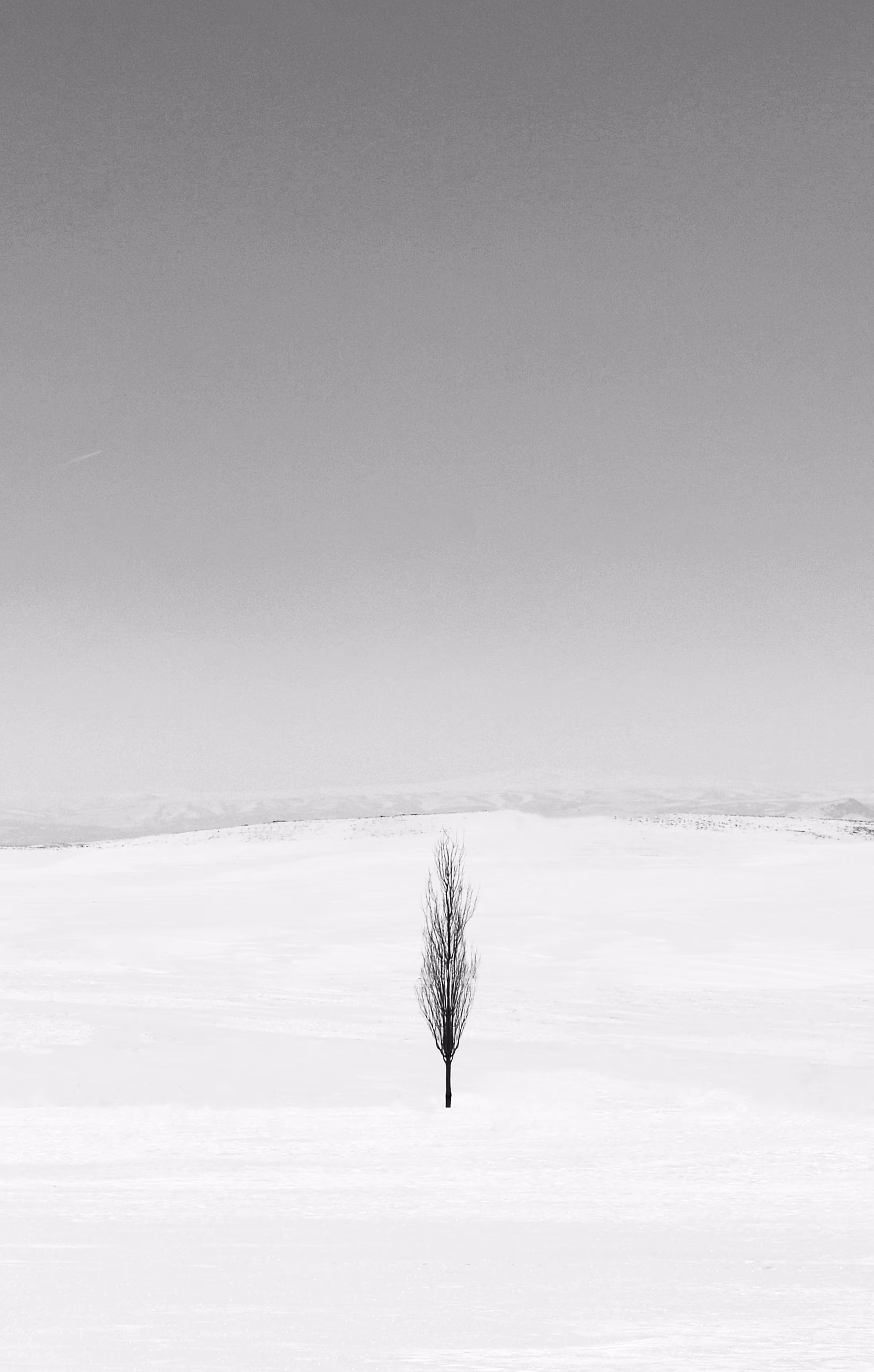 Frozen Silence