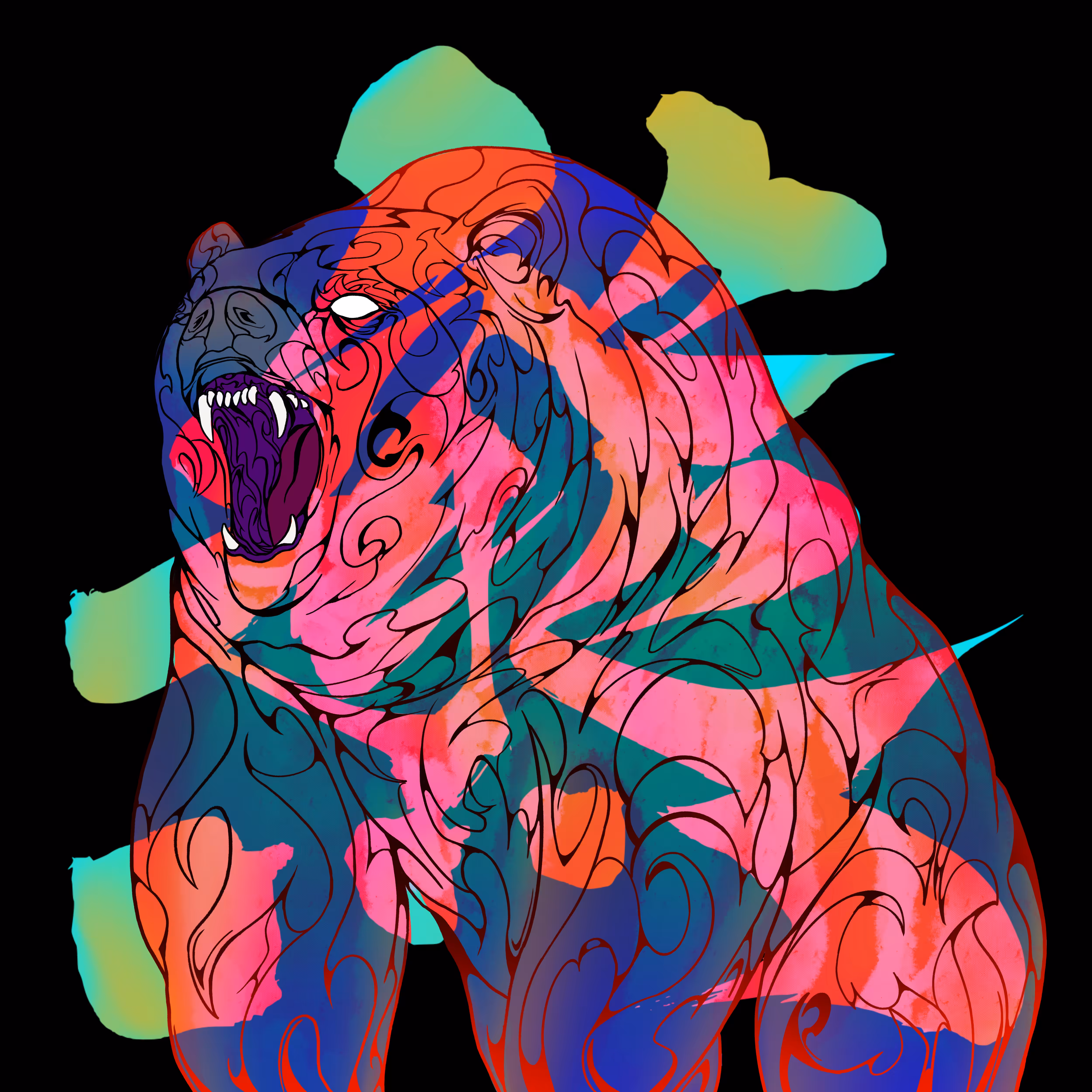 Kuma / 熊