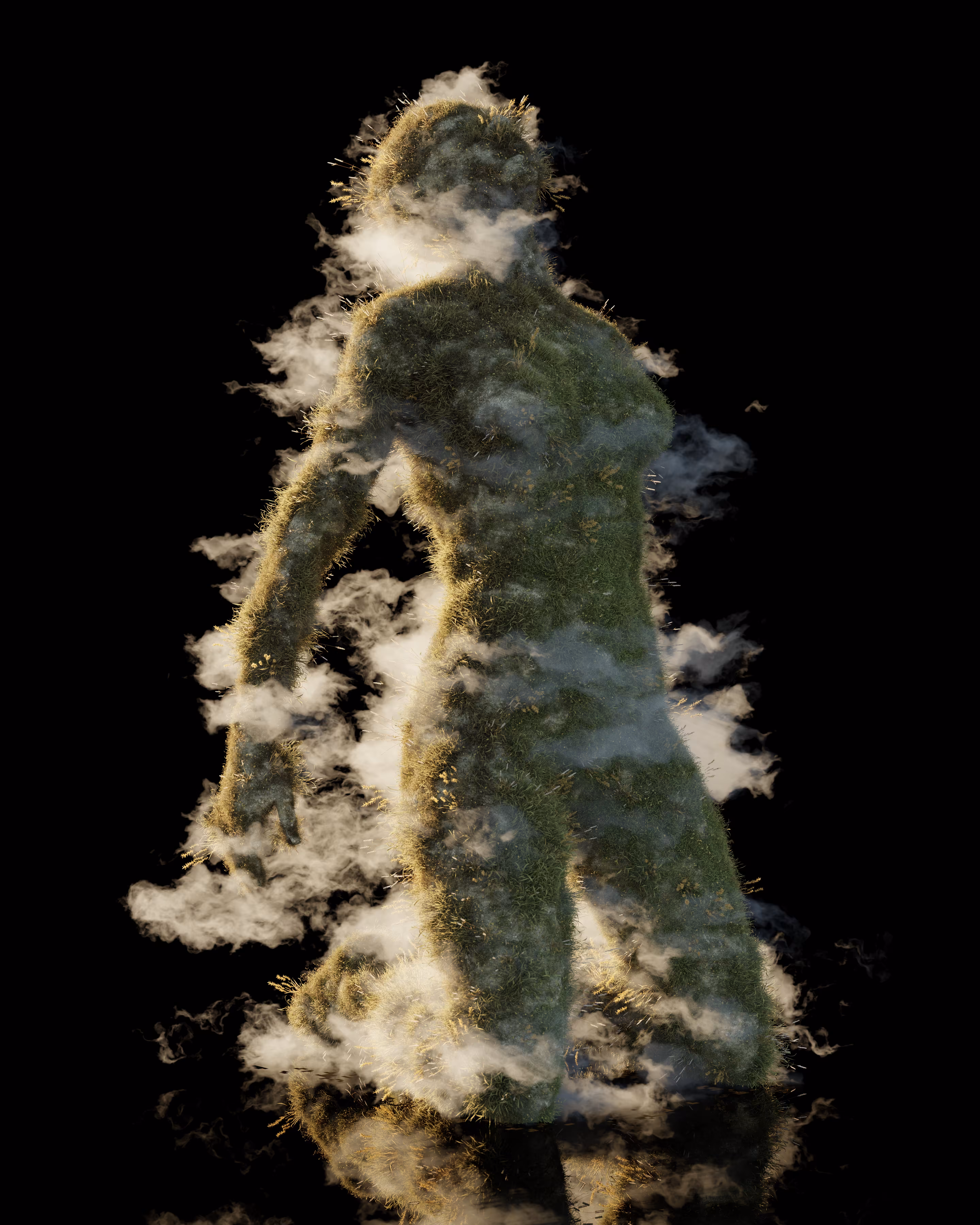 soma-01