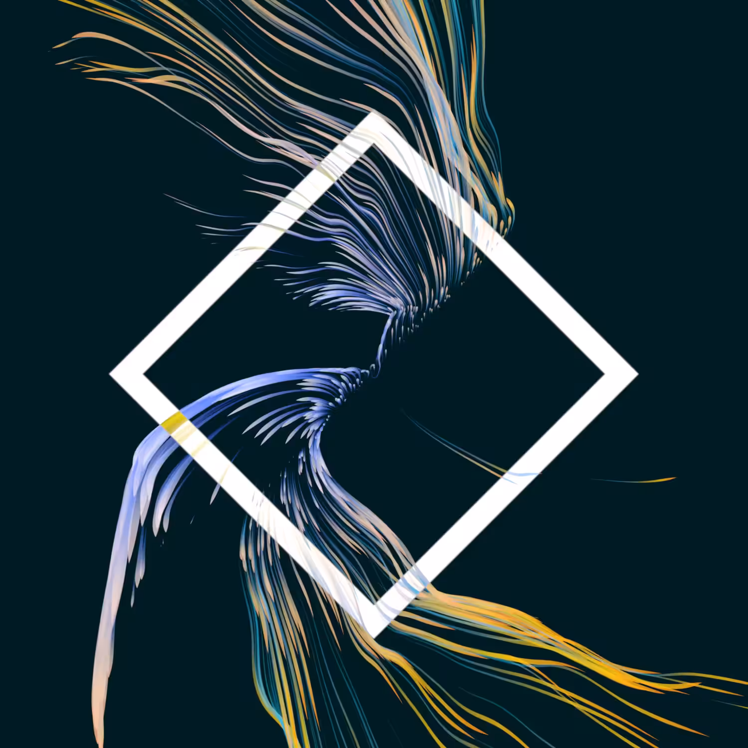 Vortex #954