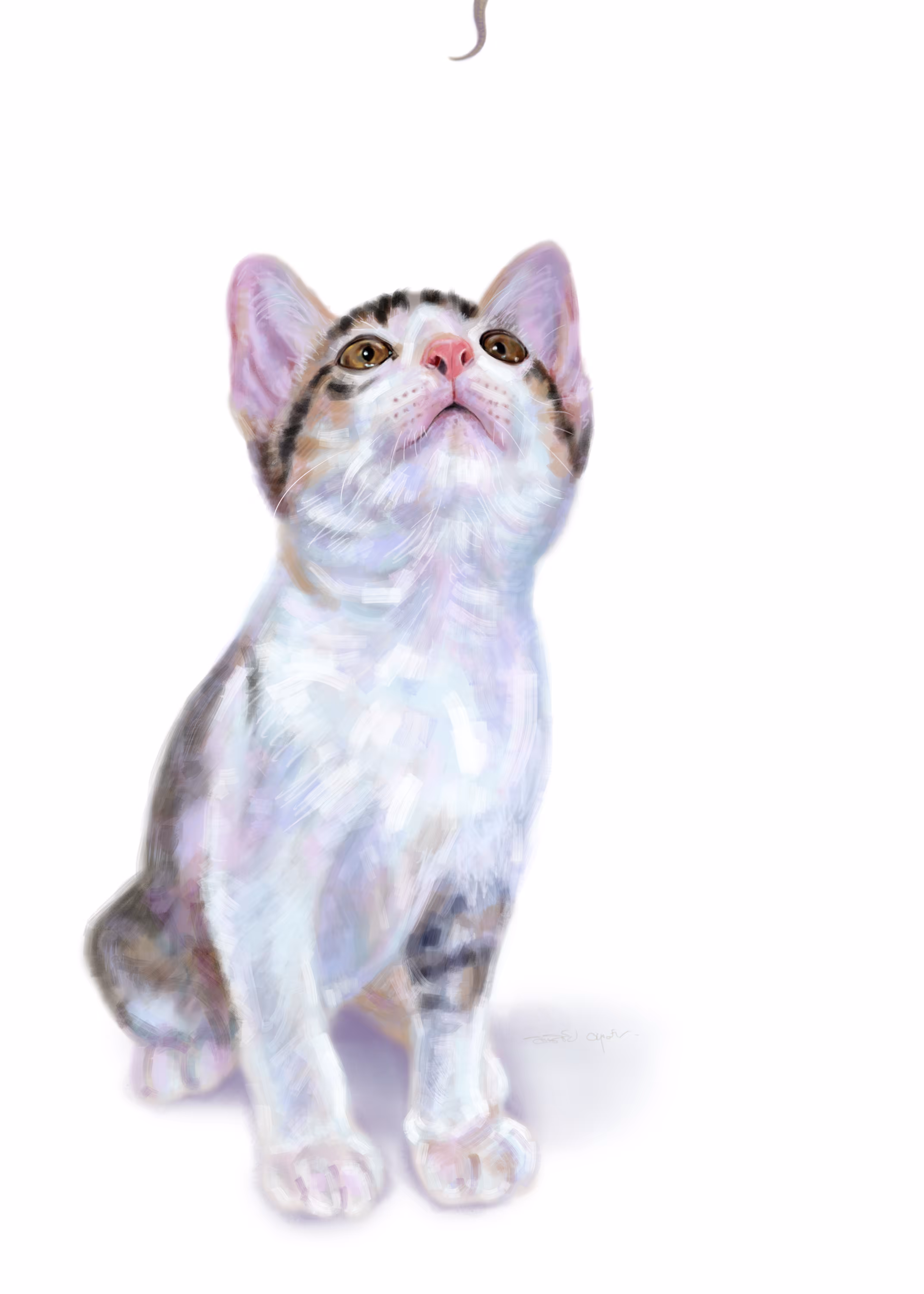 Cat staring lizard