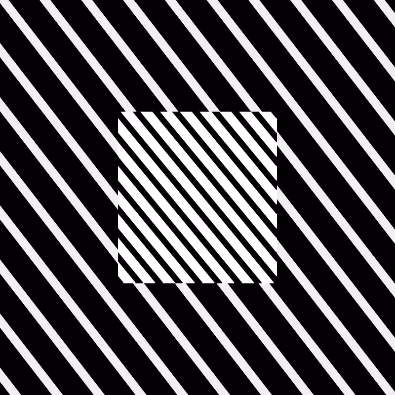 Chromatic dazzle #479