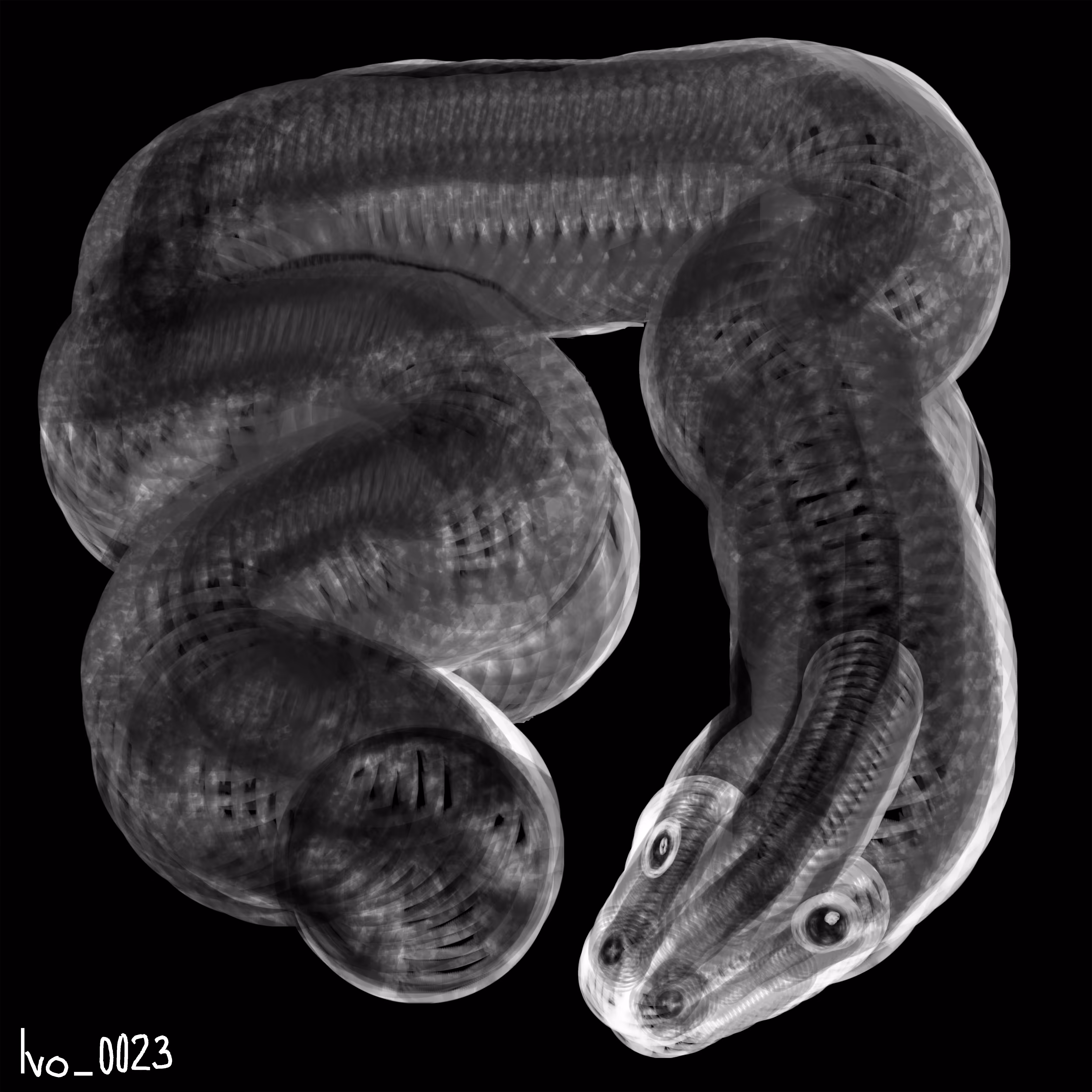 Snake tube