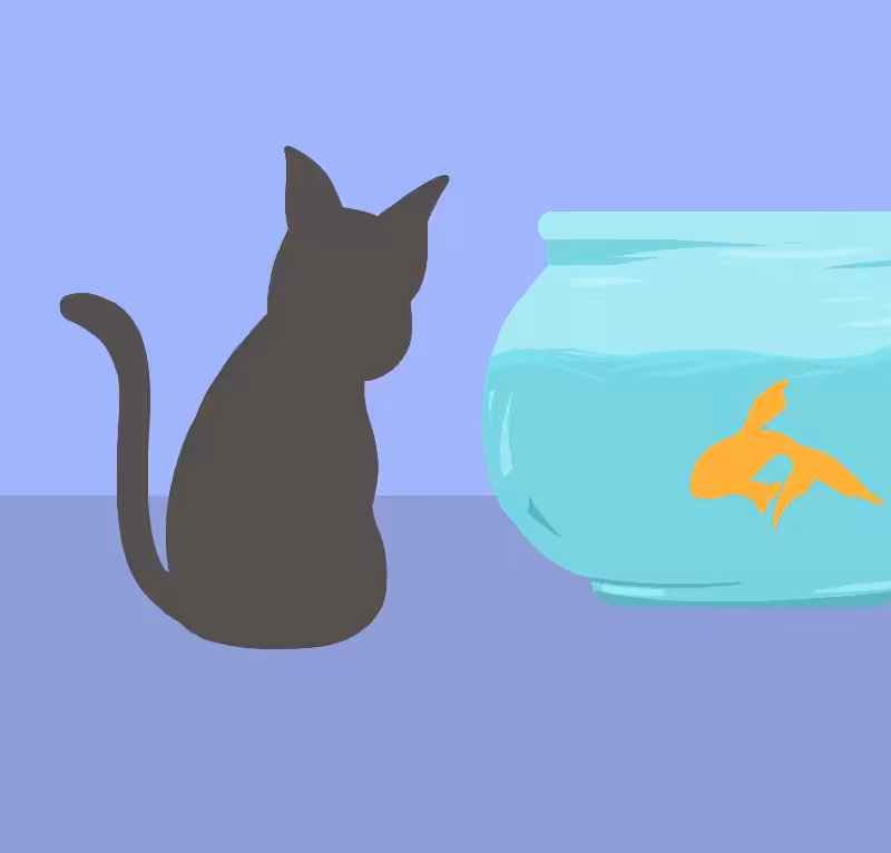 Dance of fish #1