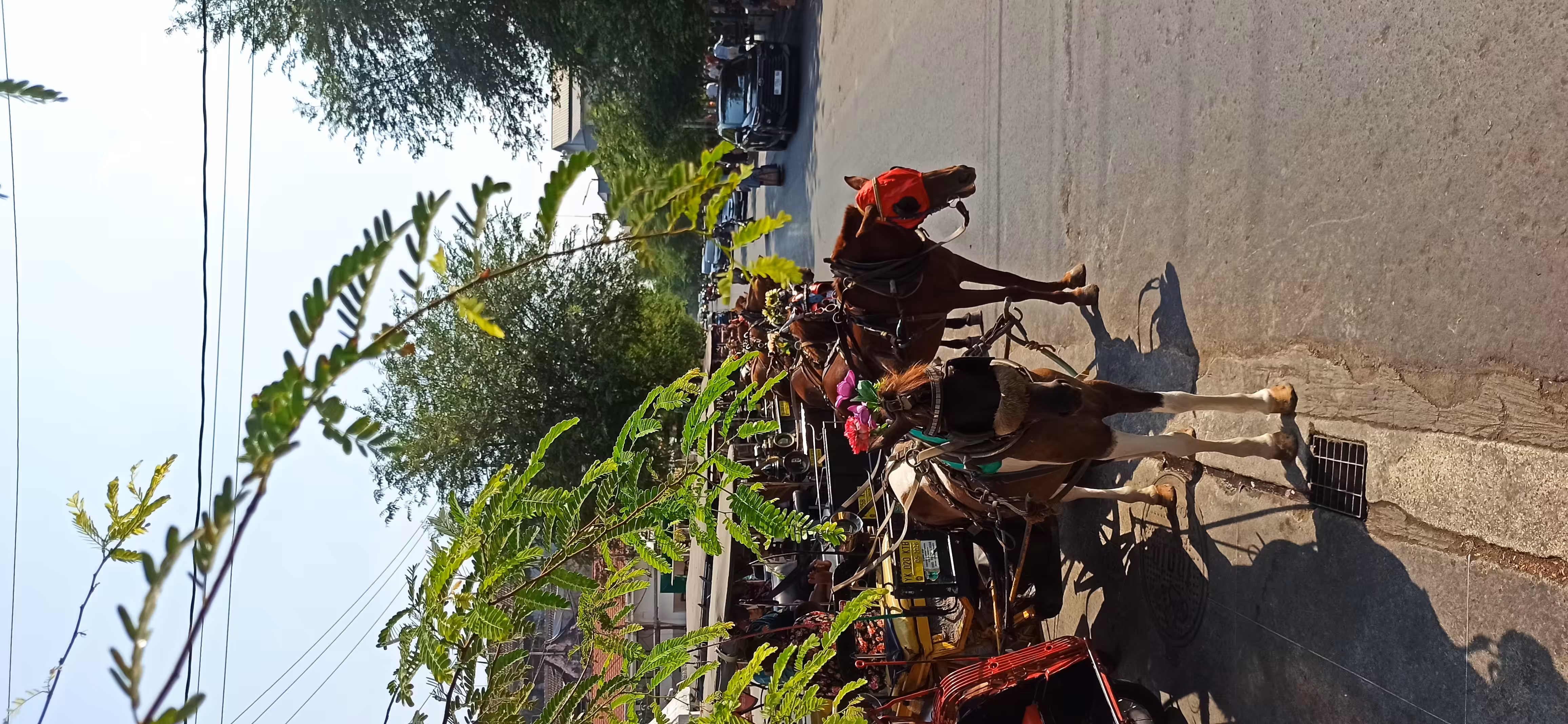 Kelas Kreatif Bentara: horse carriage