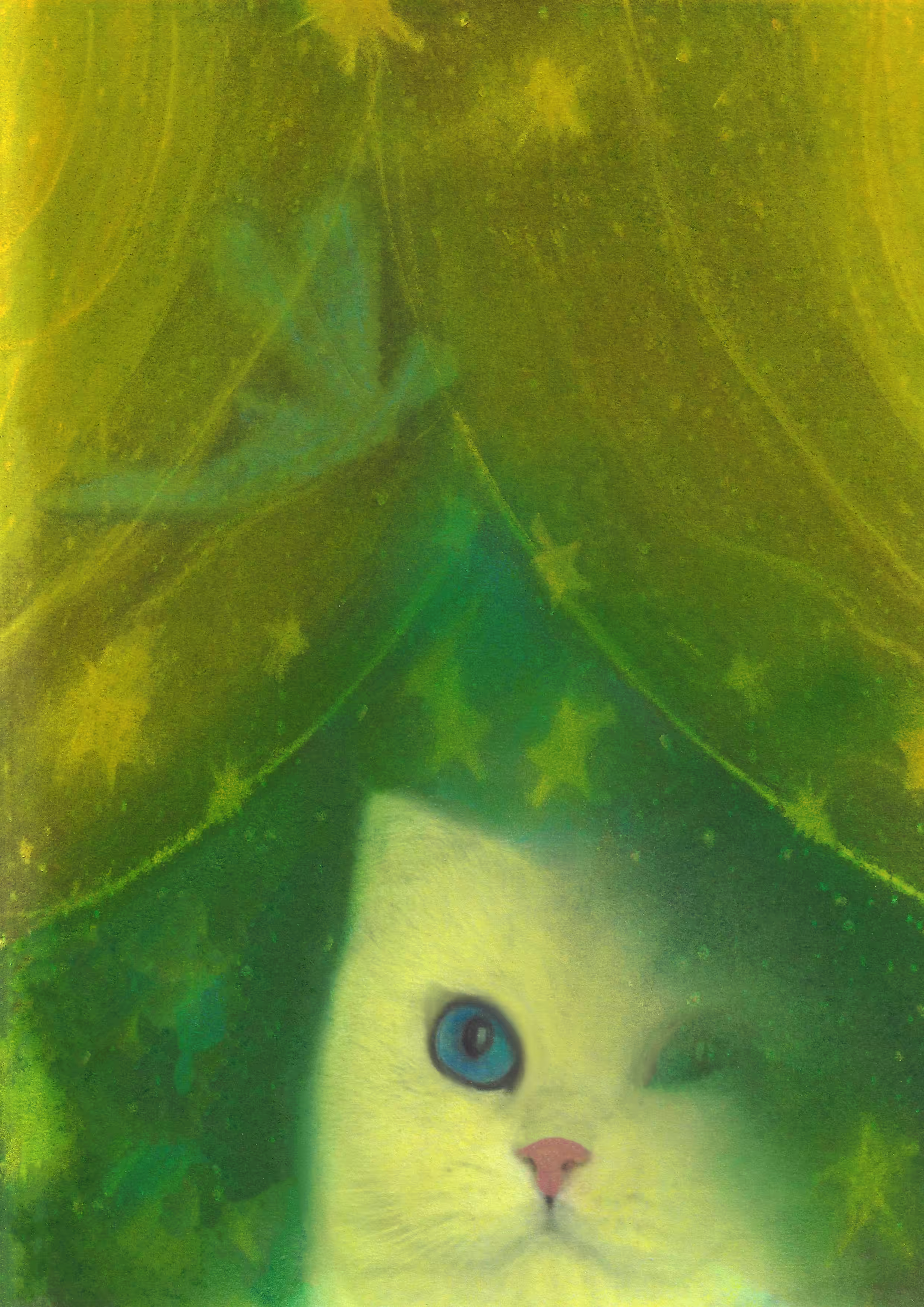cats&another beautiful pets: What a cat can see at night 