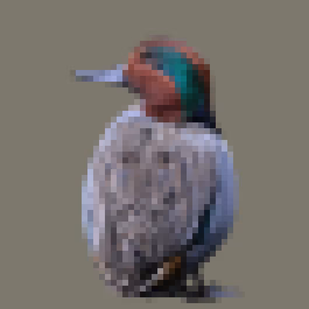 PixlBird #033