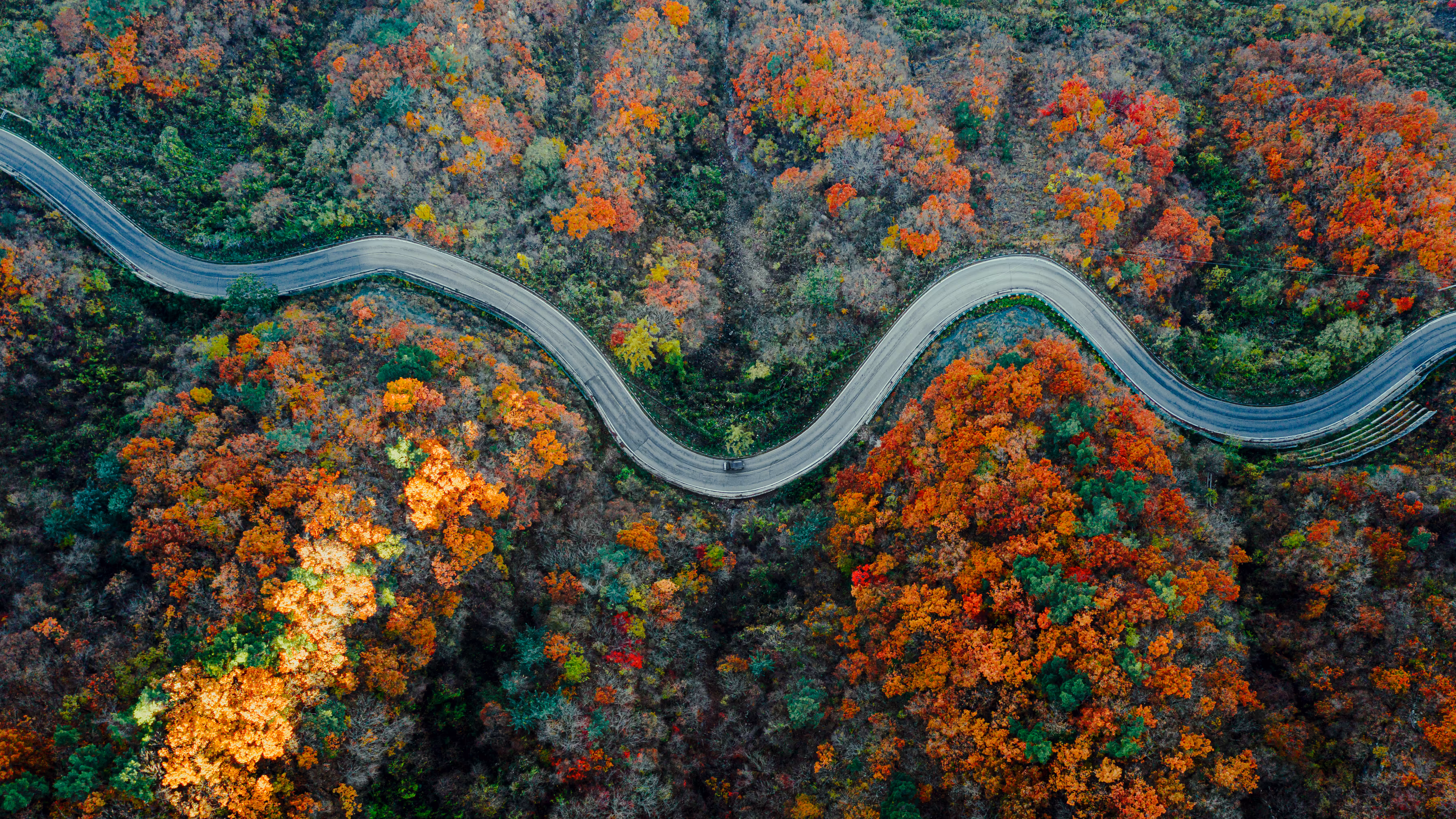Autumn road