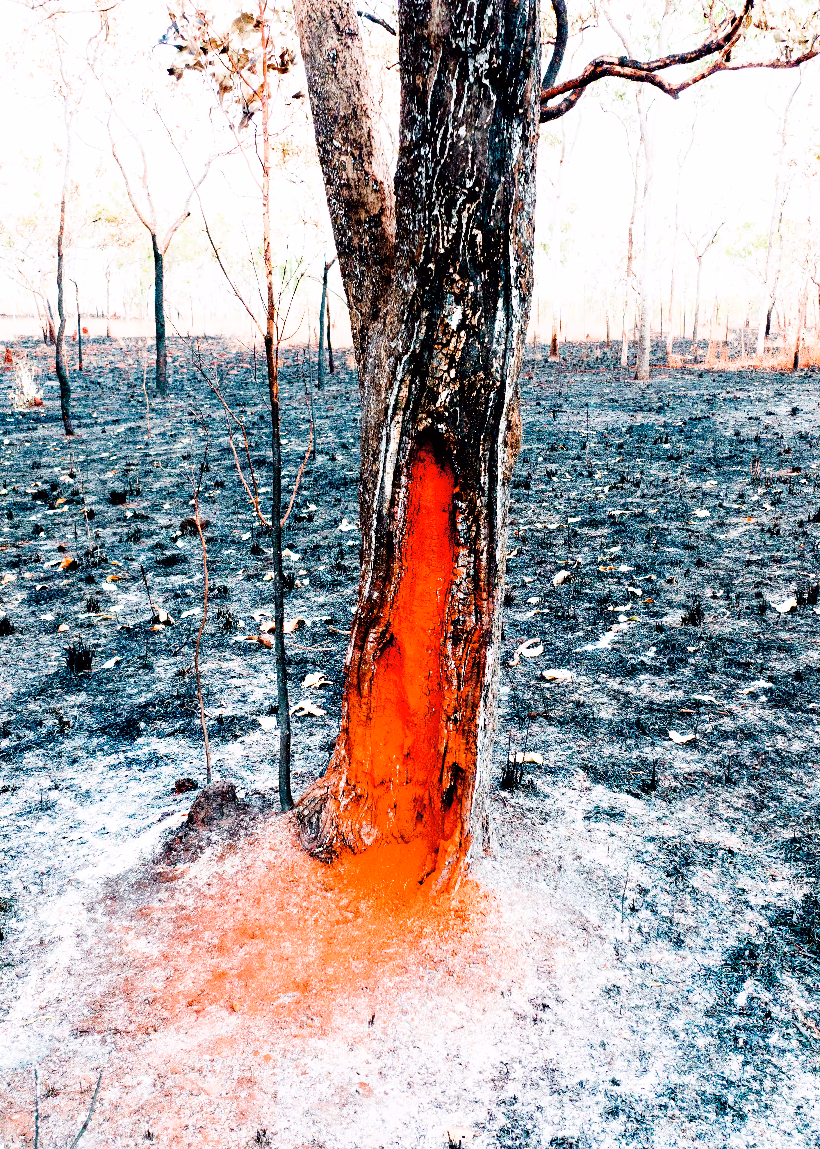 Fire Sculpture 