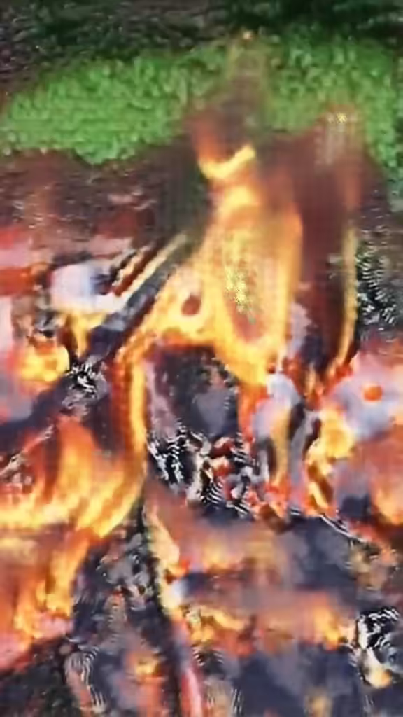 Painting with Fire: A History in GANs: Kelly's Fire