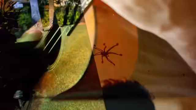 Song A Day: Oh, Little Spider