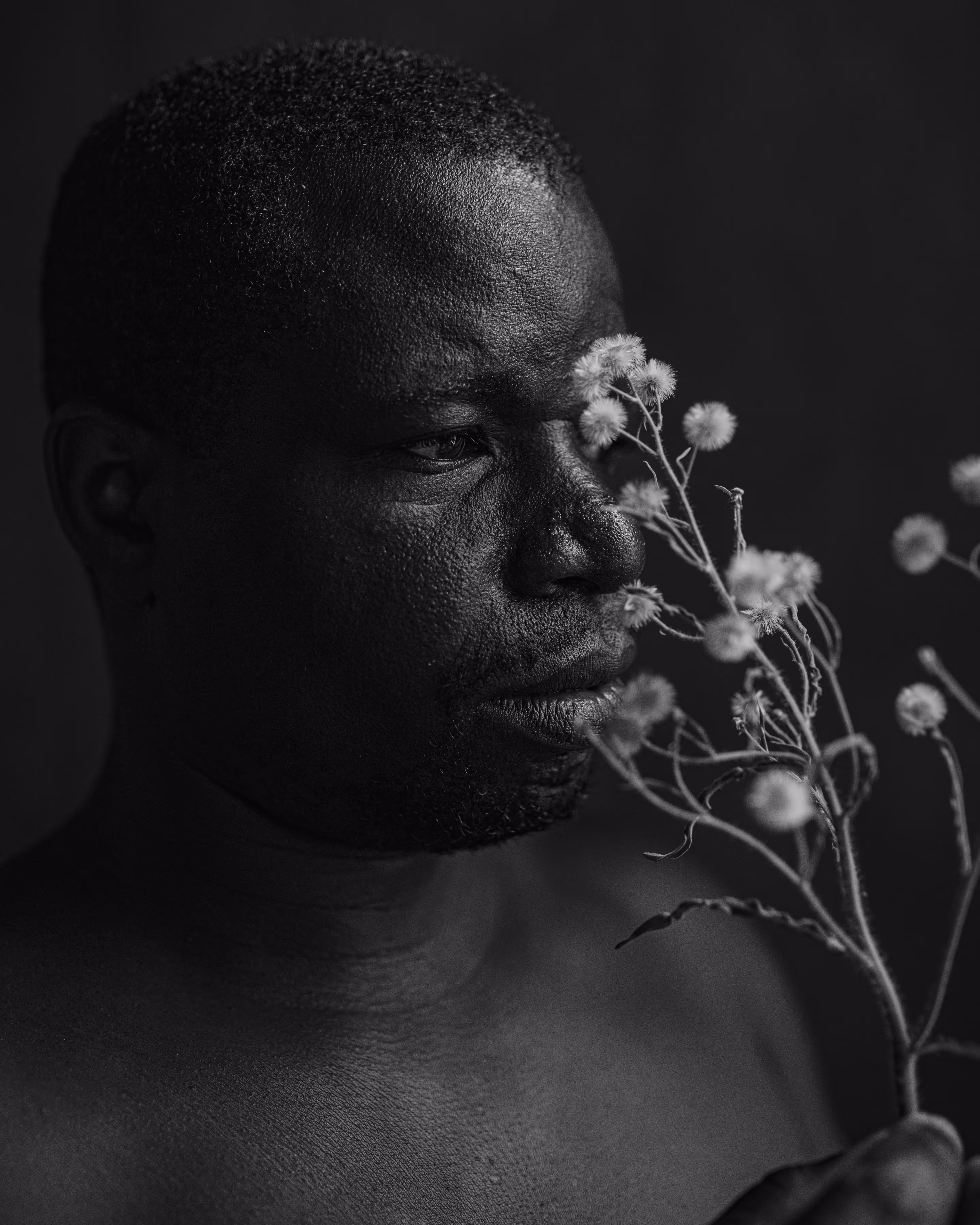 Lucky and a Flower II