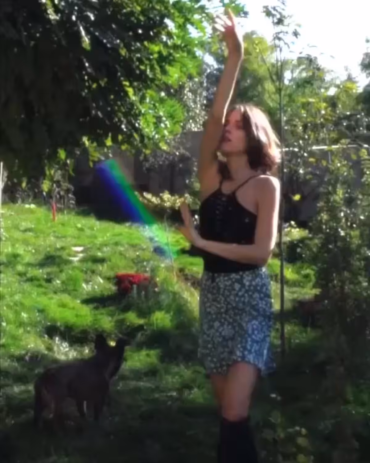 🇸︎╊╱╲🆁█▄ 🌈✨